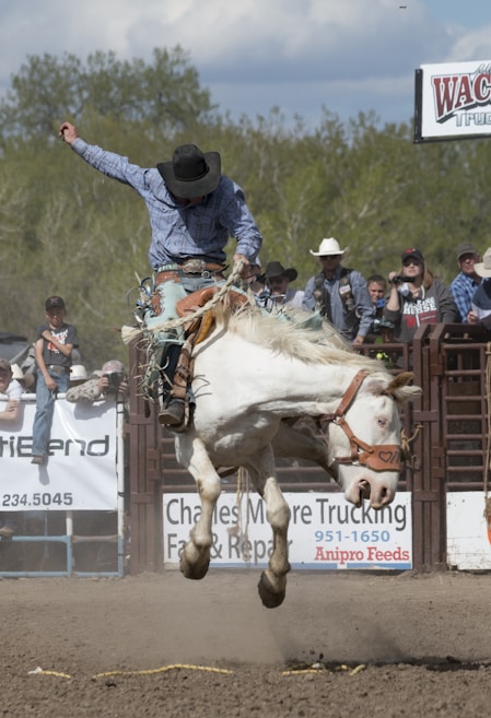 A rodeo scene features a cowboy riding a bucking white horse. The cowboy is dressed in traditional attire, including a blue patterned shirt and a black hat. Dust is kicked up from the ground, indicating the horse's movement. In the background, several onlookers are watching the event from behind a fence.