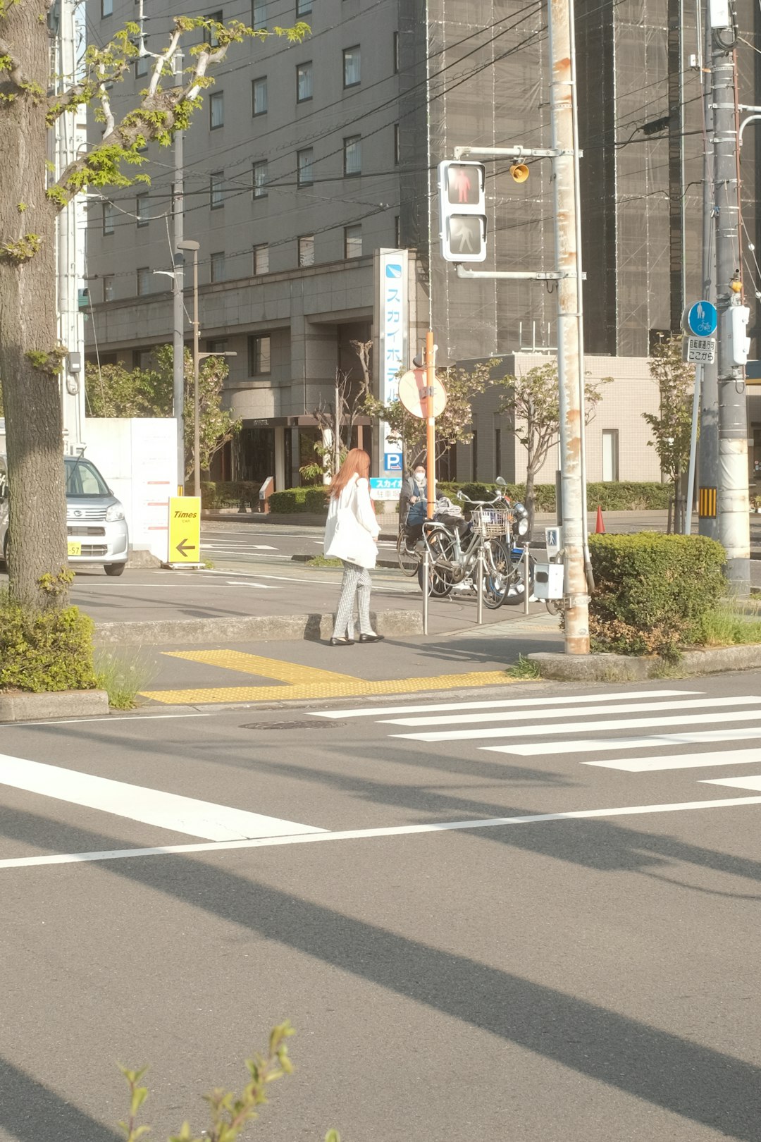 people walking on pedestrian lane during daytime