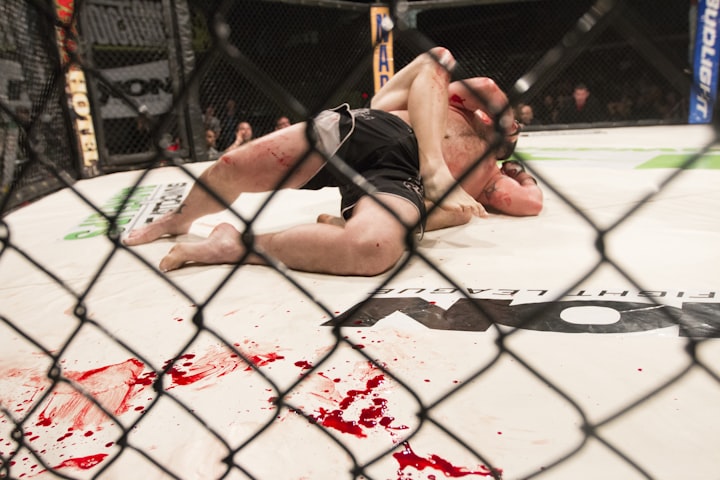 MMA: The Ultimate Fighting Sport