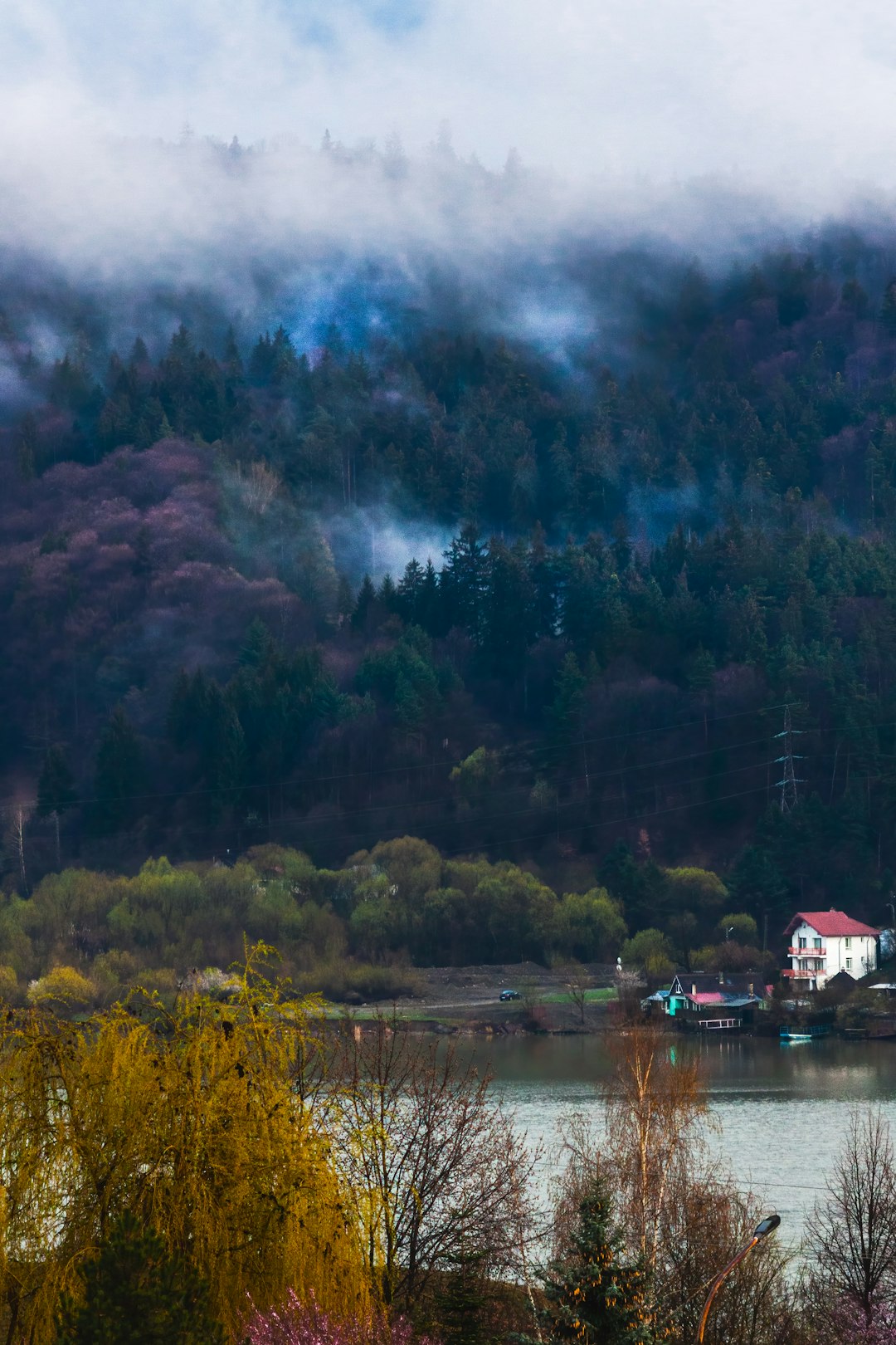 white and red house near green trees and lake under blue sky