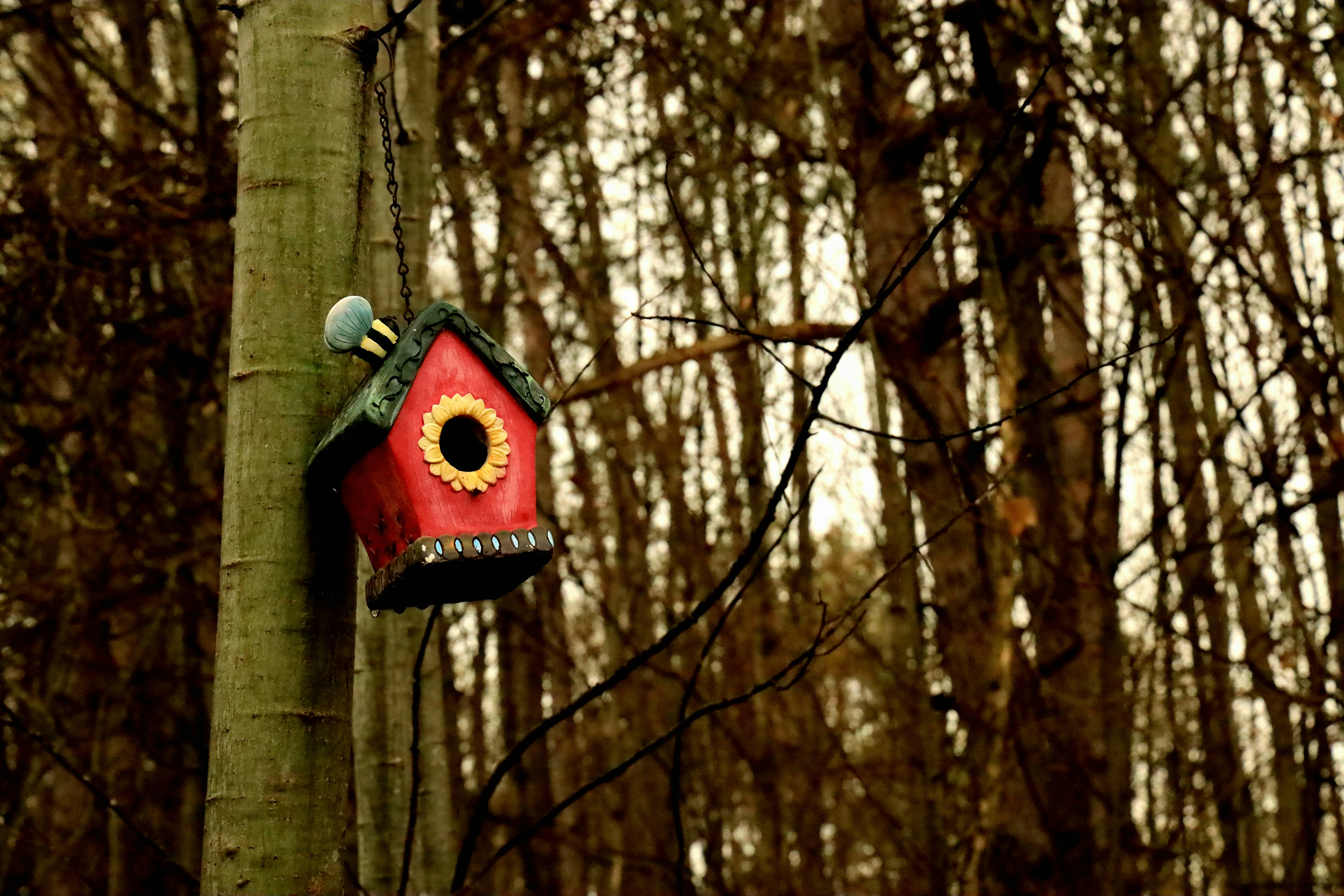 Photo by richardworks