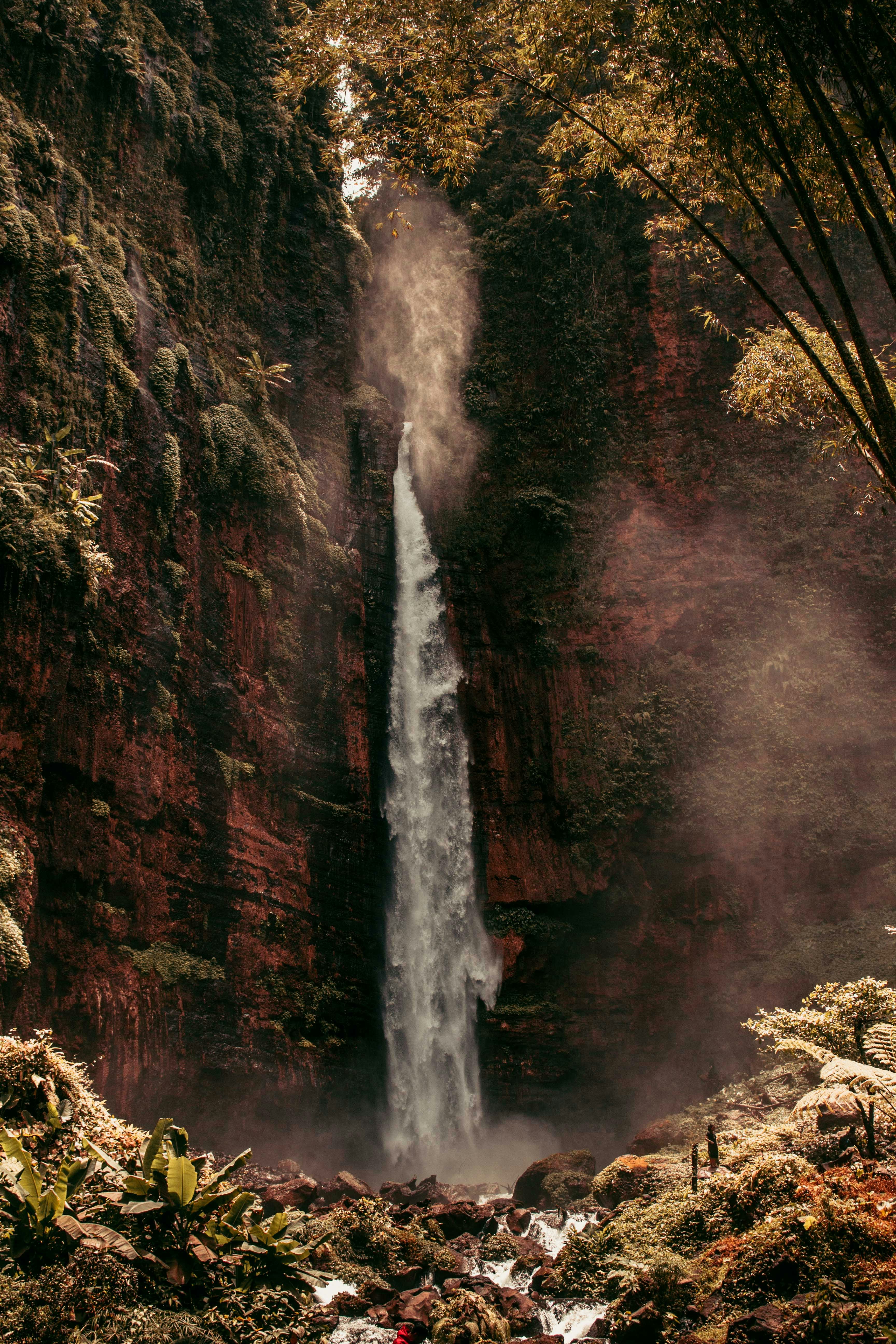 Air terjun di tengah hutan