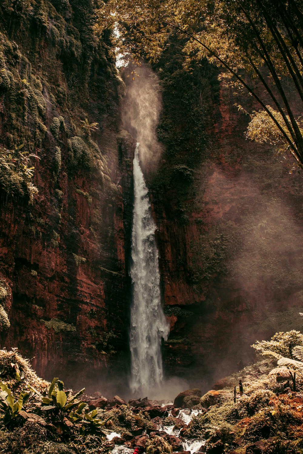 waterfalls in the middle of the forest