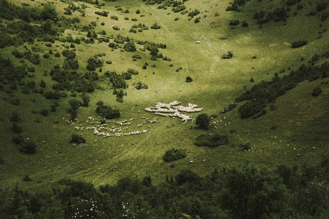 Uncovering the Hidden Gems of North Macedonia A 7-Day Sightseeing A… — Uncovering the Hidden Gems…, photo 3