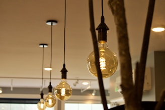 Close-up of a pendant light featuring vintage filament bulbs.
