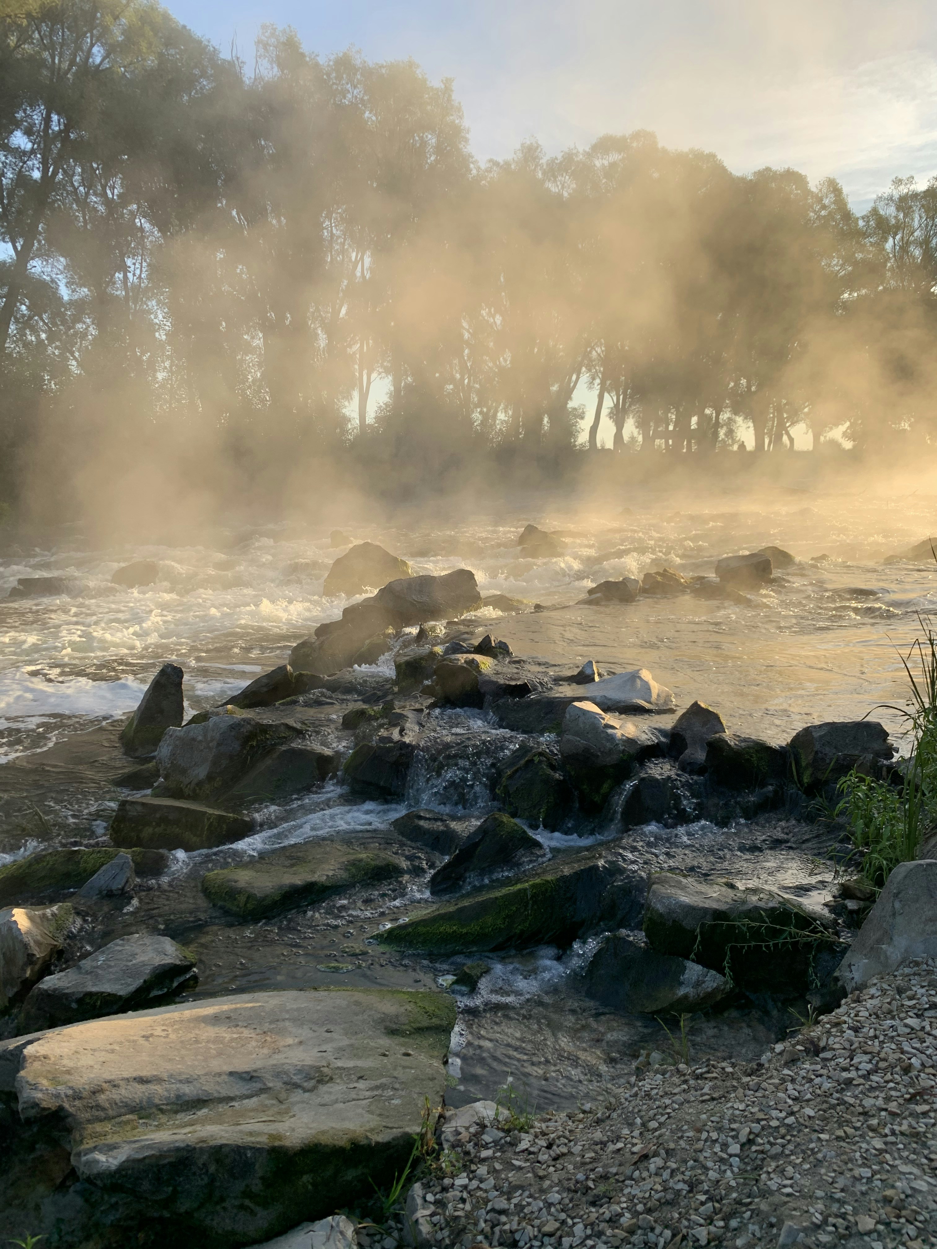 Photo by danielricardo