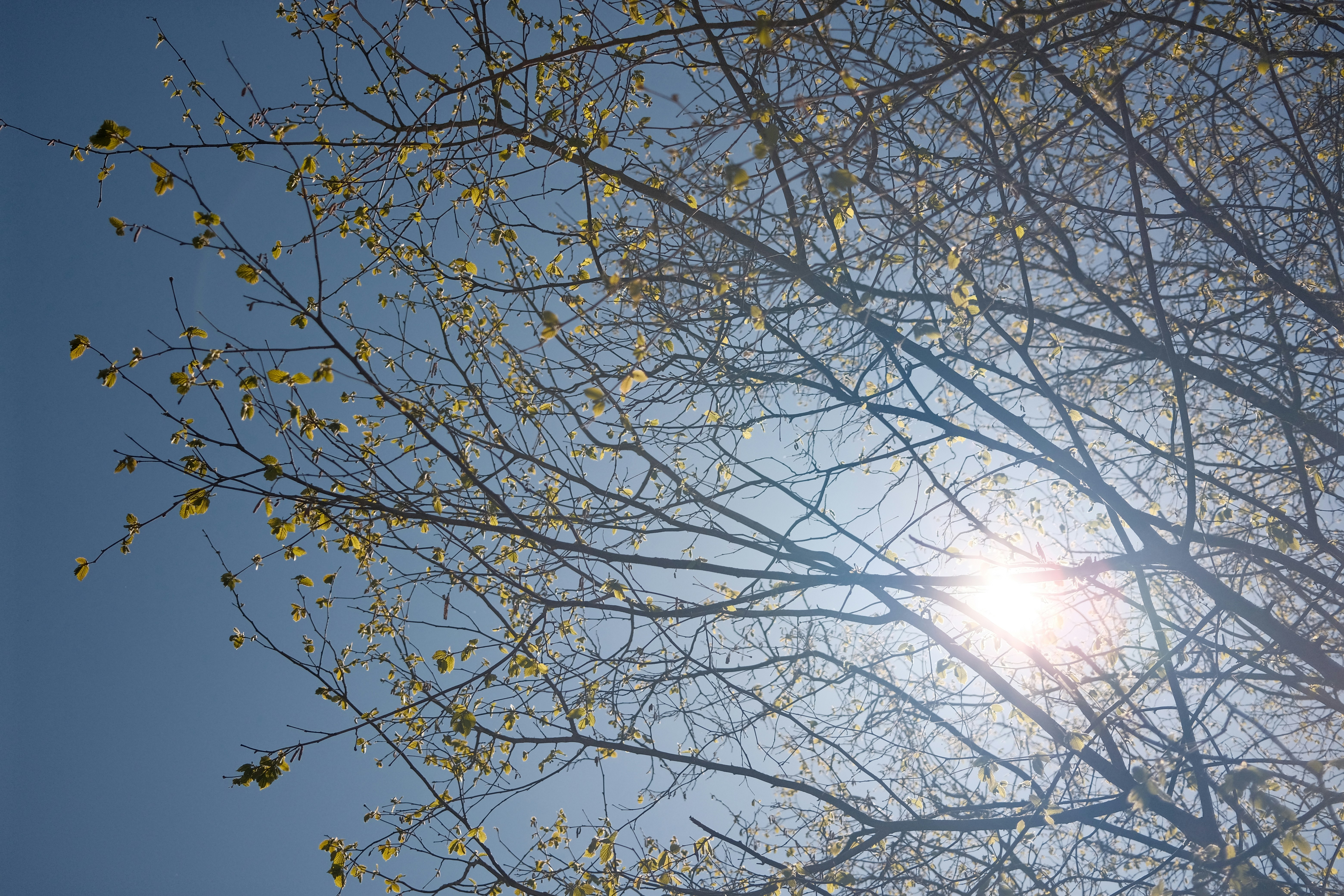 Photo by chris_zueger