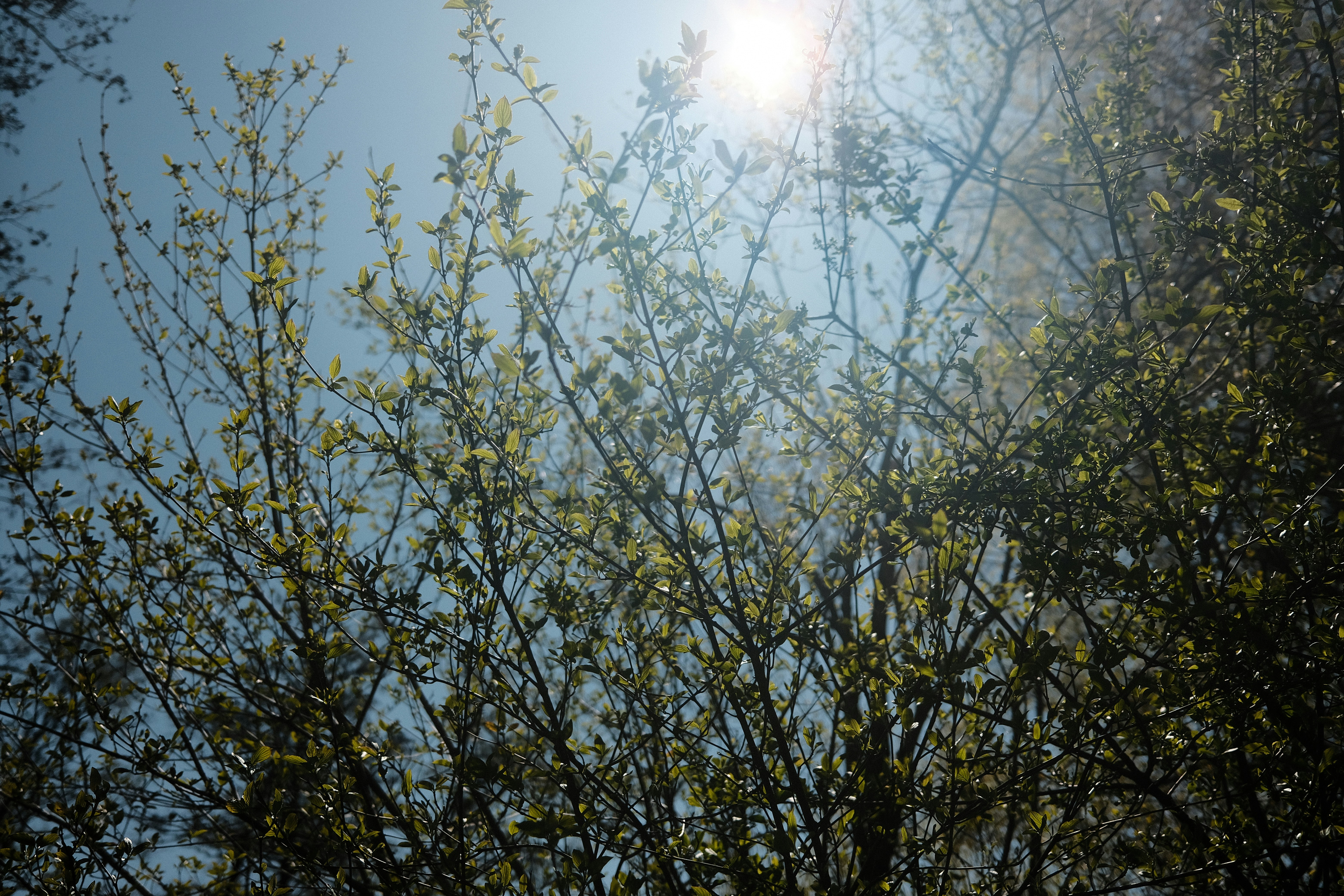 Photo by chris_zueger