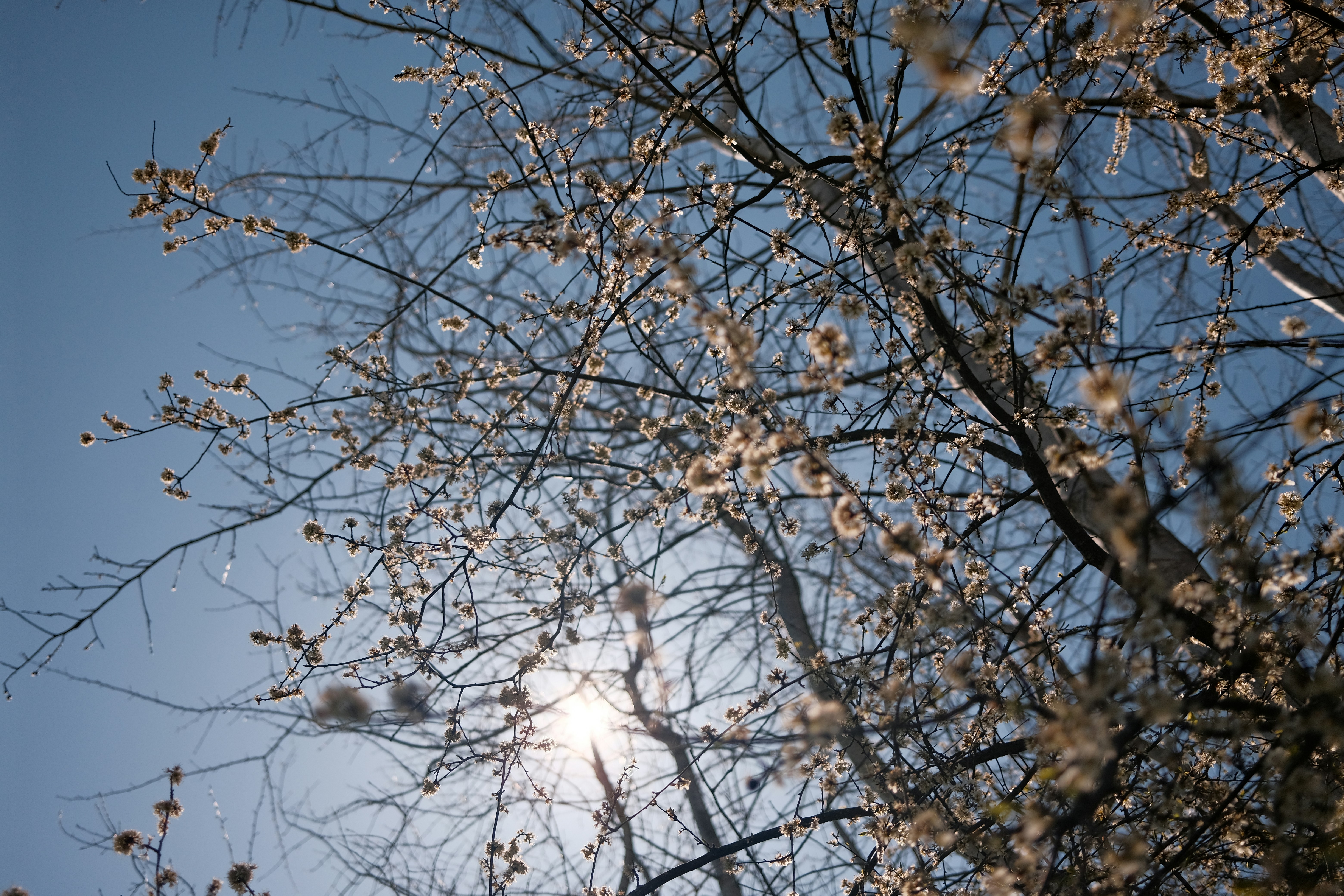 Photo by chris_zueger