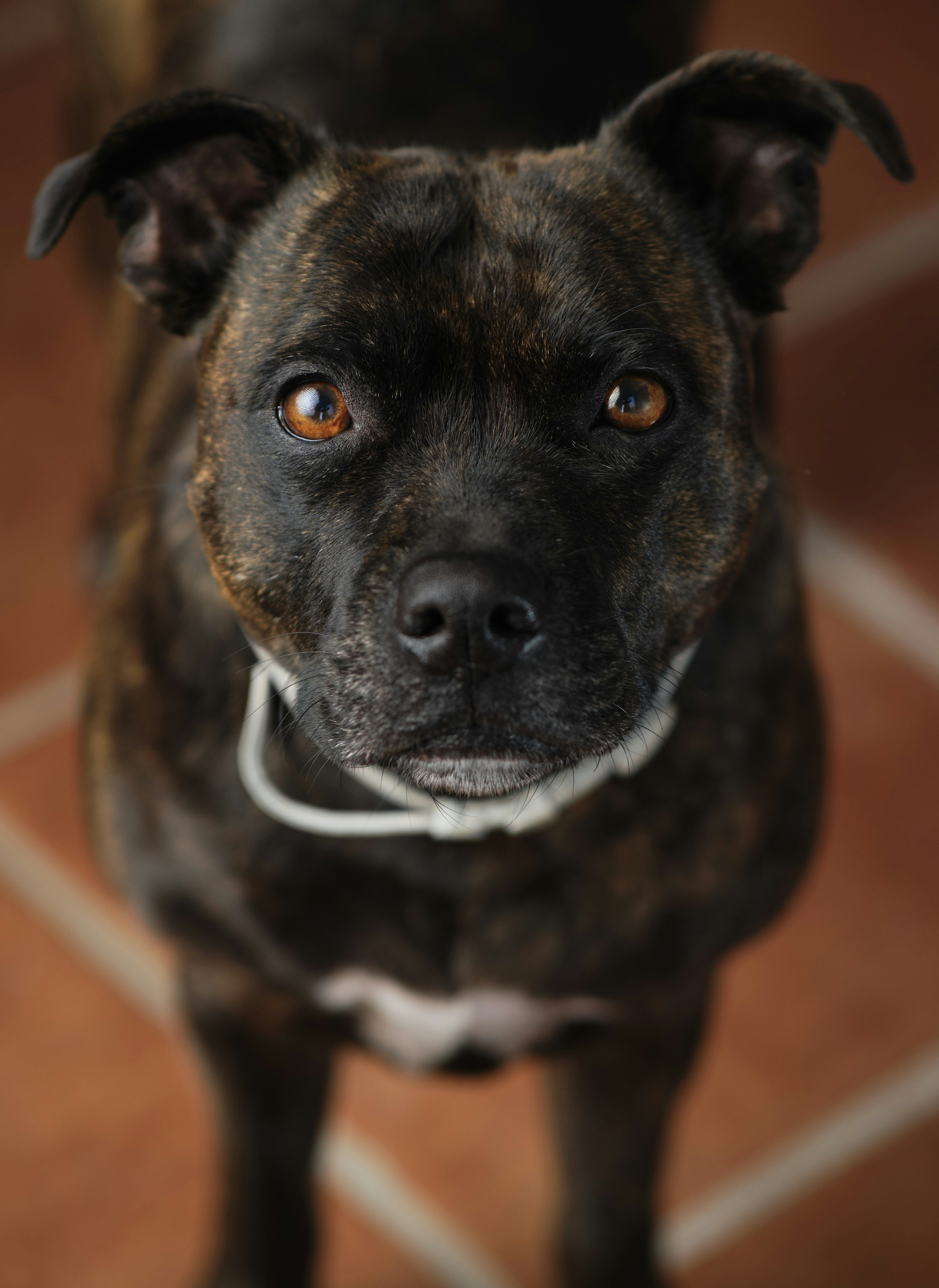 Photo by victor_vector