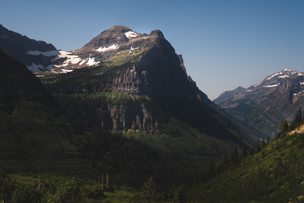 green trees near mountain under blue sky during daytime