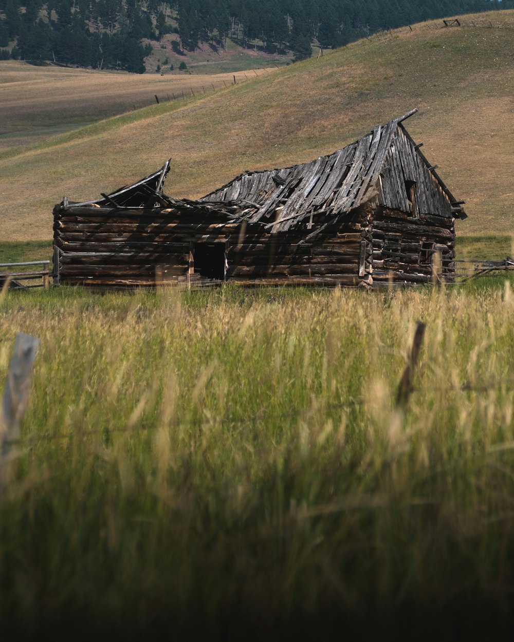 brown wooden barn on green grass field during daytime