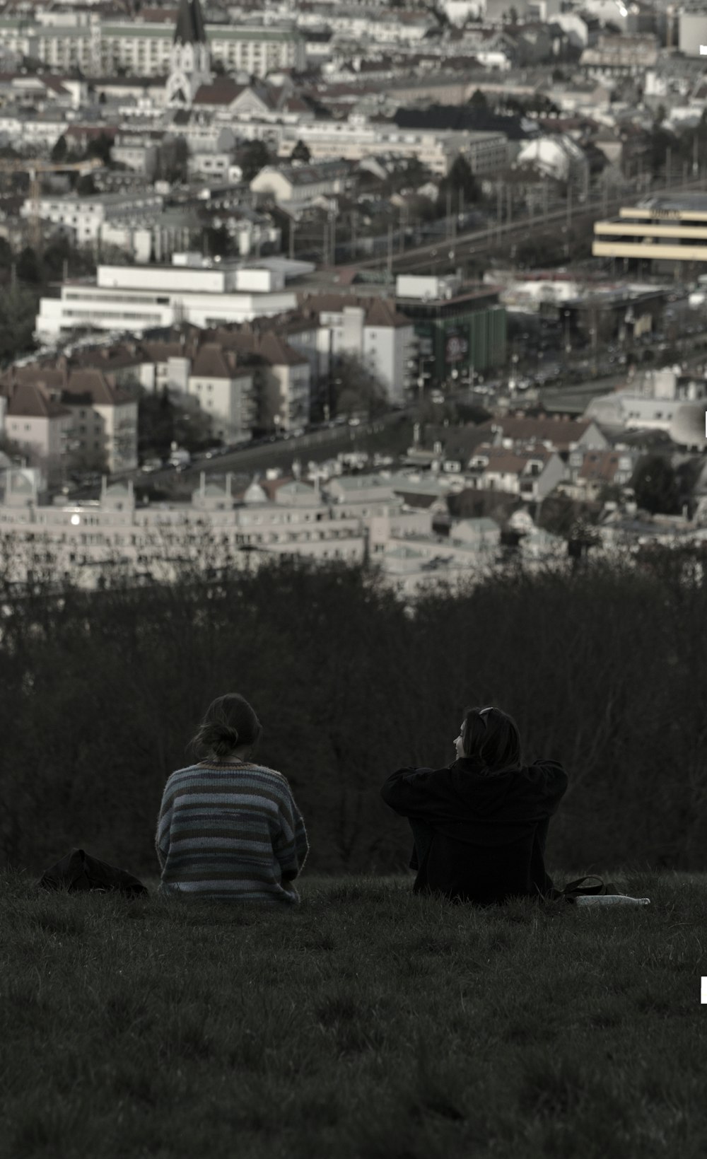 homme et femme assis sur l’herbe verte pendant la journée