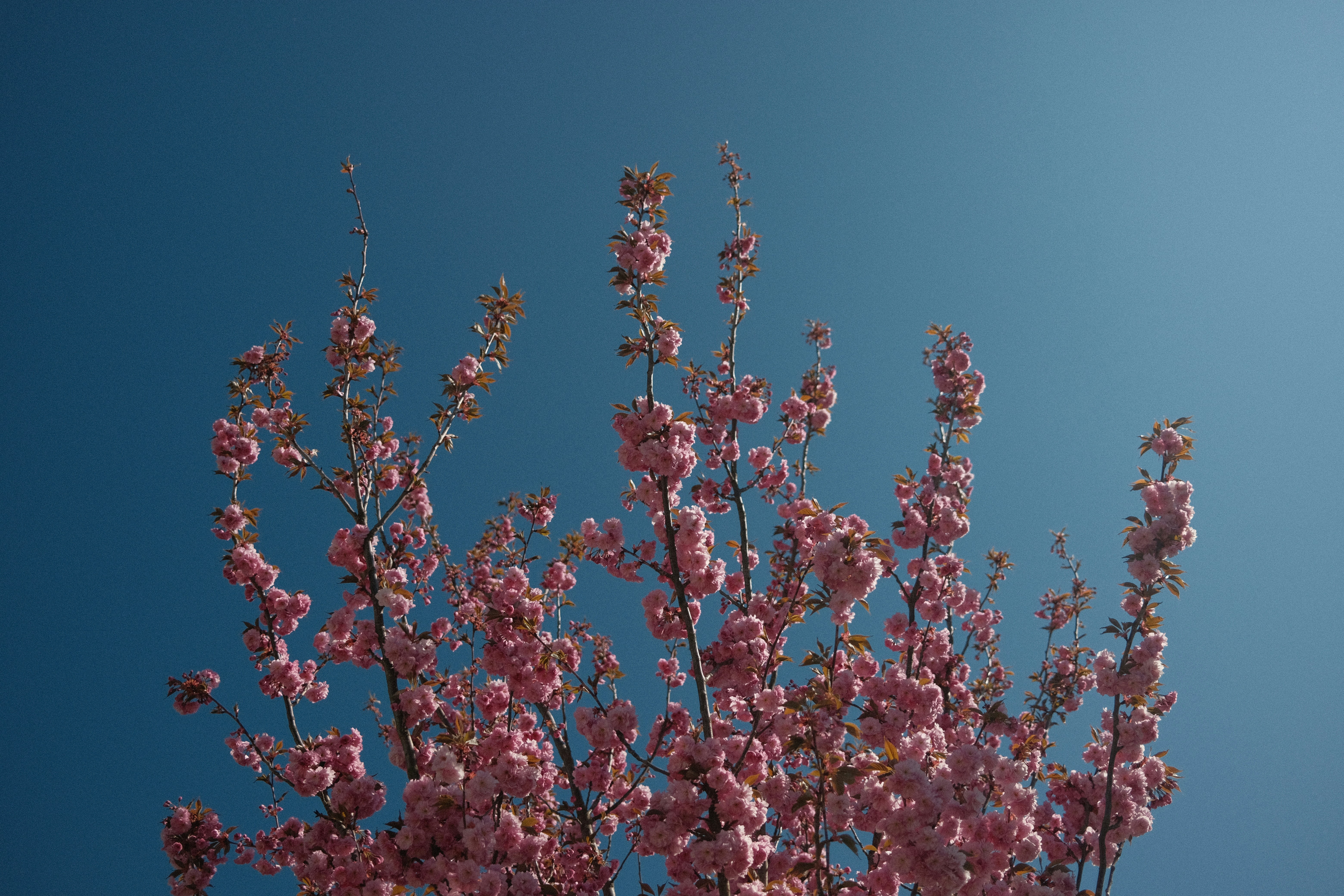 Photo by chris_zueger