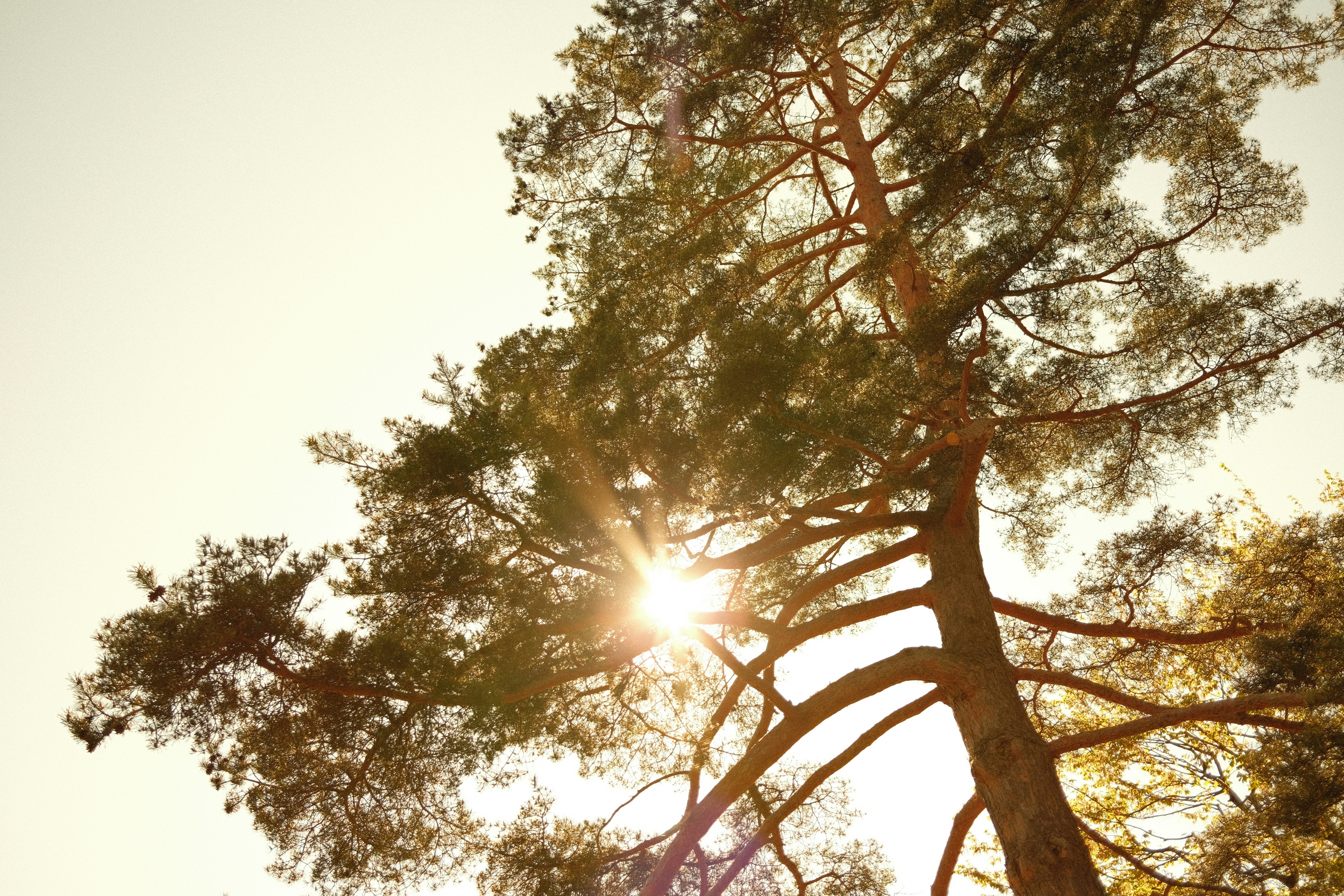 Photo by chris_zueger