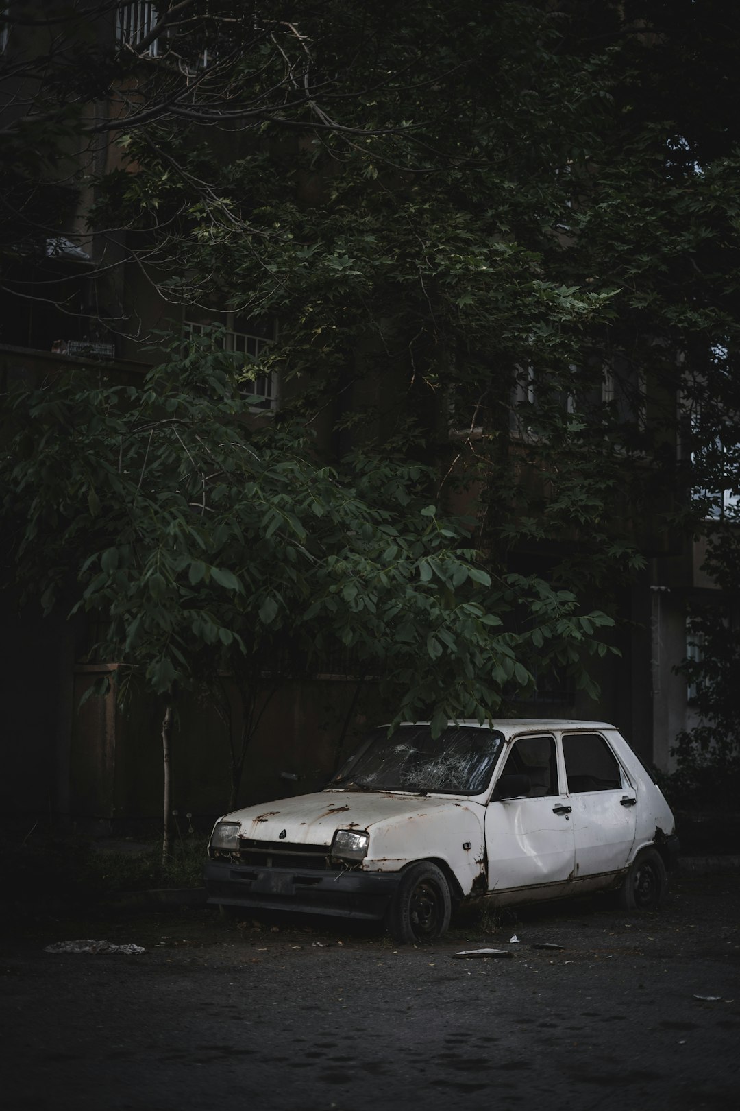 white coupe parked near green trees during daytime