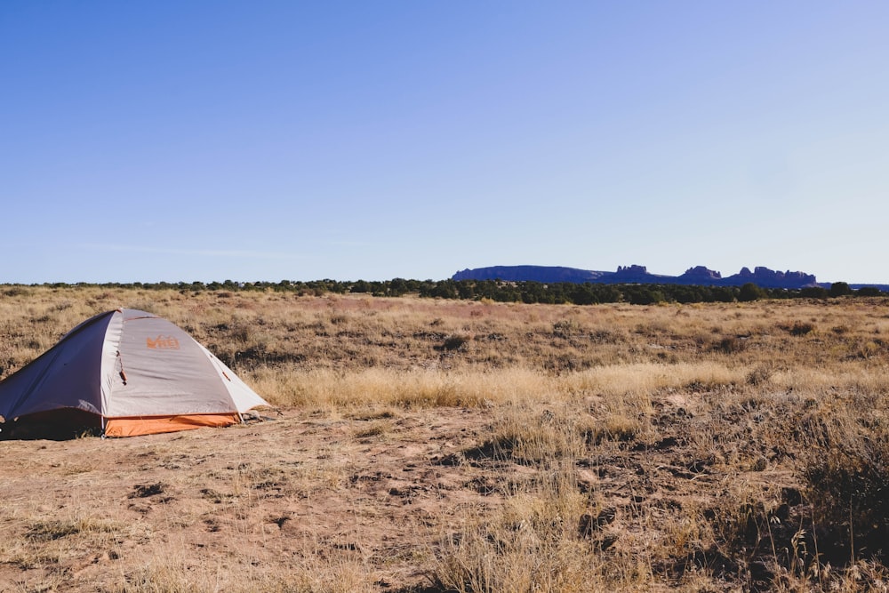 white tent on brown grass field during daytime