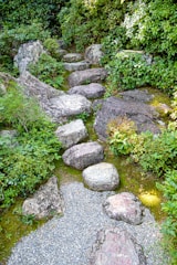 gray rocks with green moss