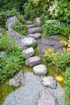 gray rocks with green moss