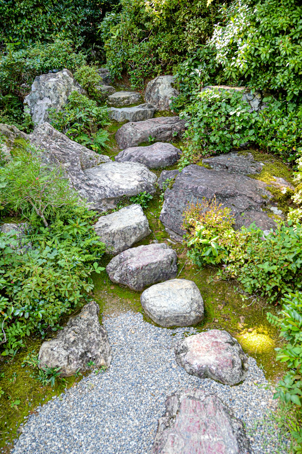 gray rocks with green moss