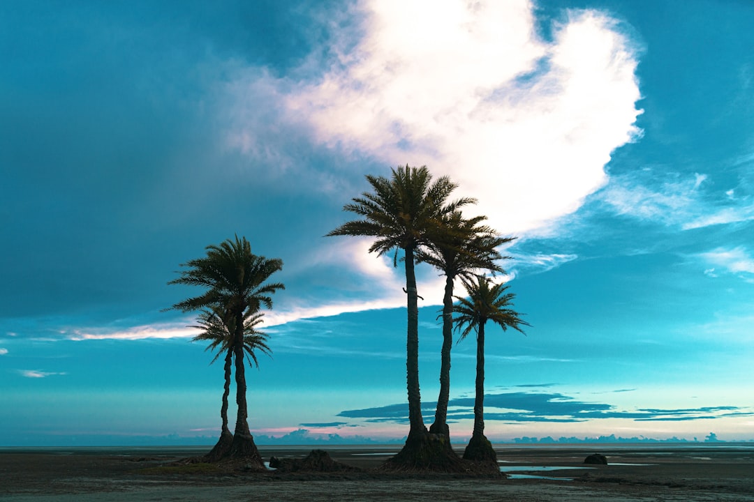 travelers stories about Natural landscape in Nijhum Dwip Beach, Bangladesh