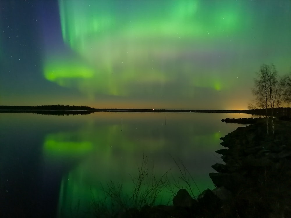 green trees beside lake during night time