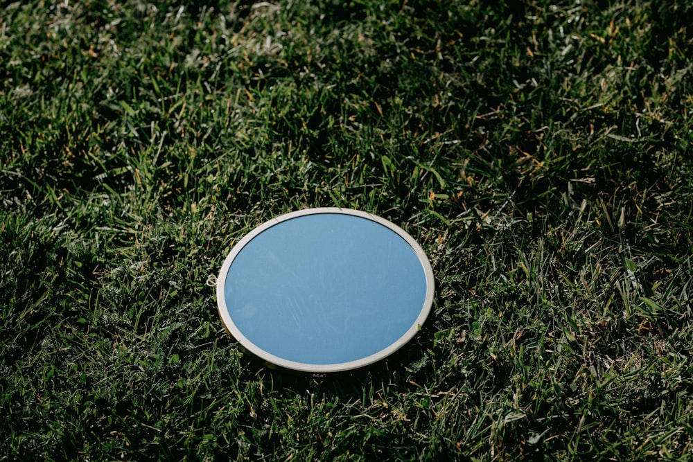 blue and white round ornament on green grass