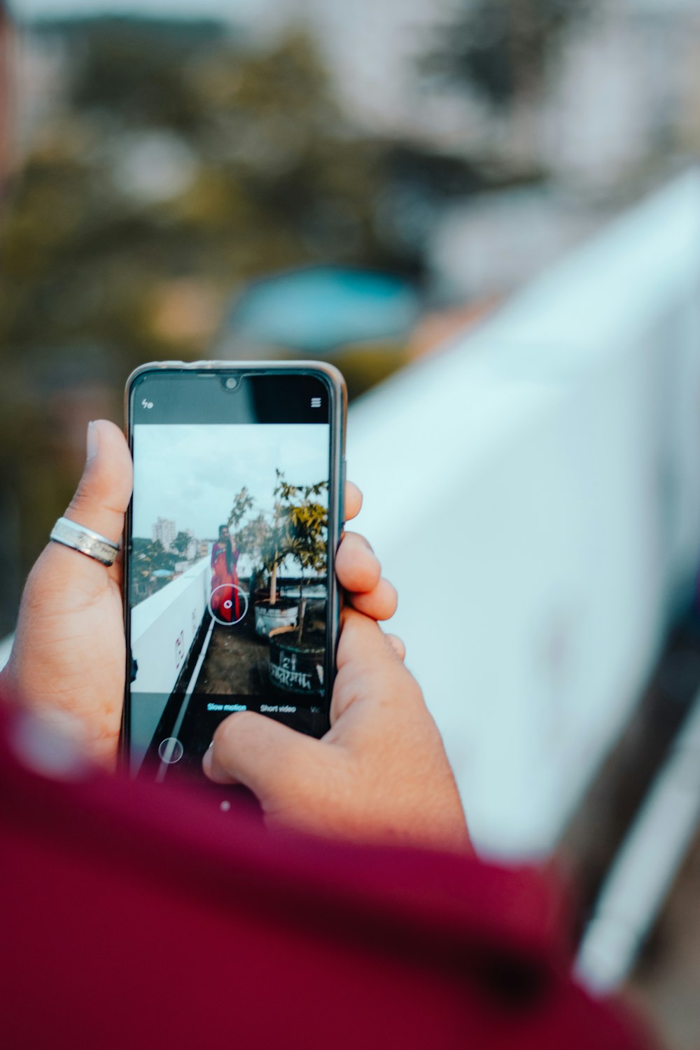 person holding iphone taking photo of red flowers