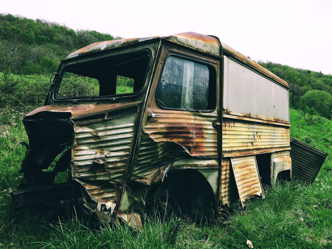 brown and black van on green grass field during daytime