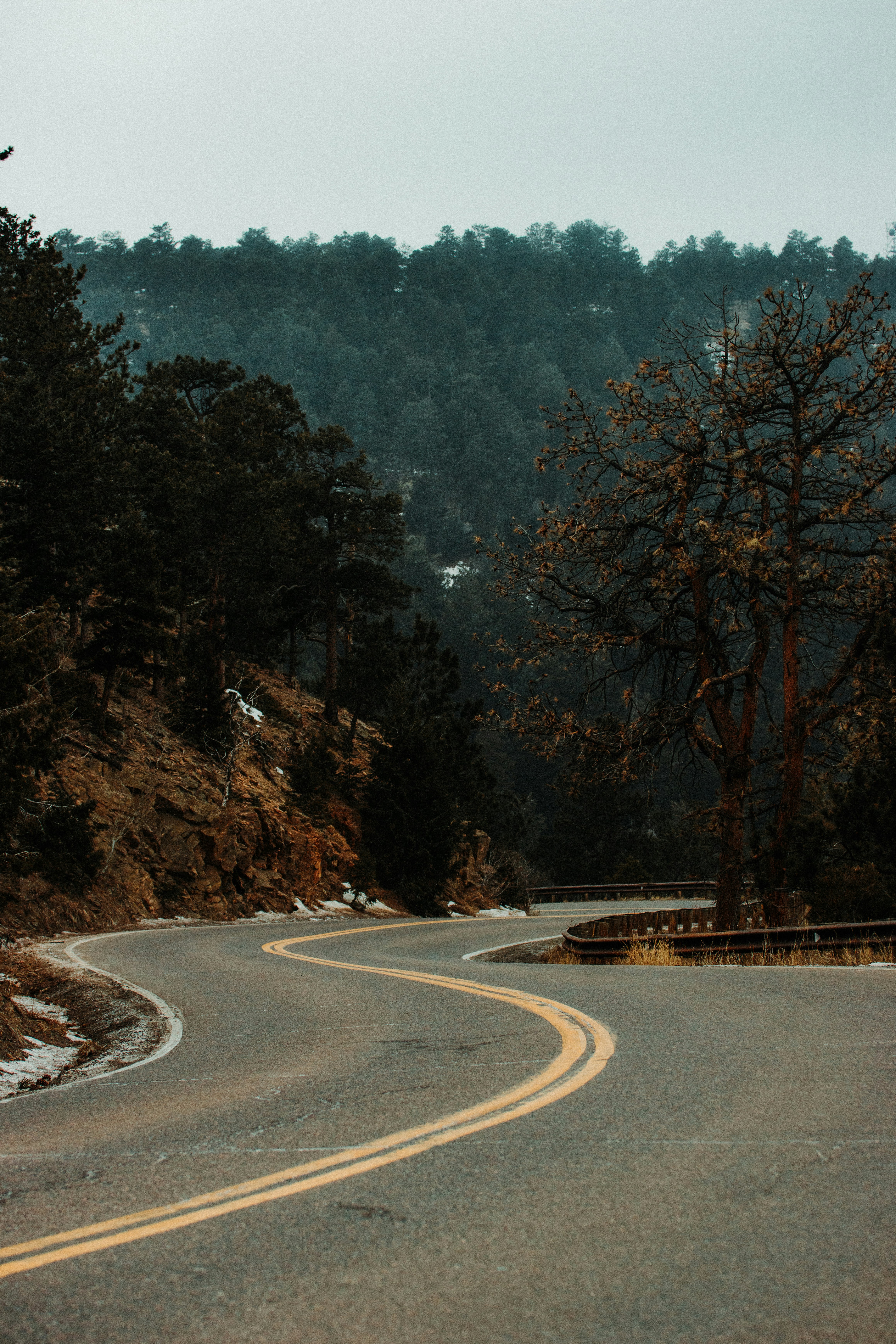 Photo by jakobnoahrosen