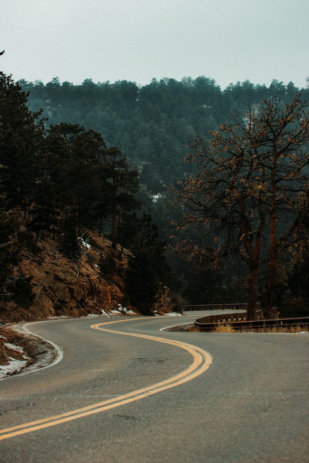 gray asphalt road between trees during daytime