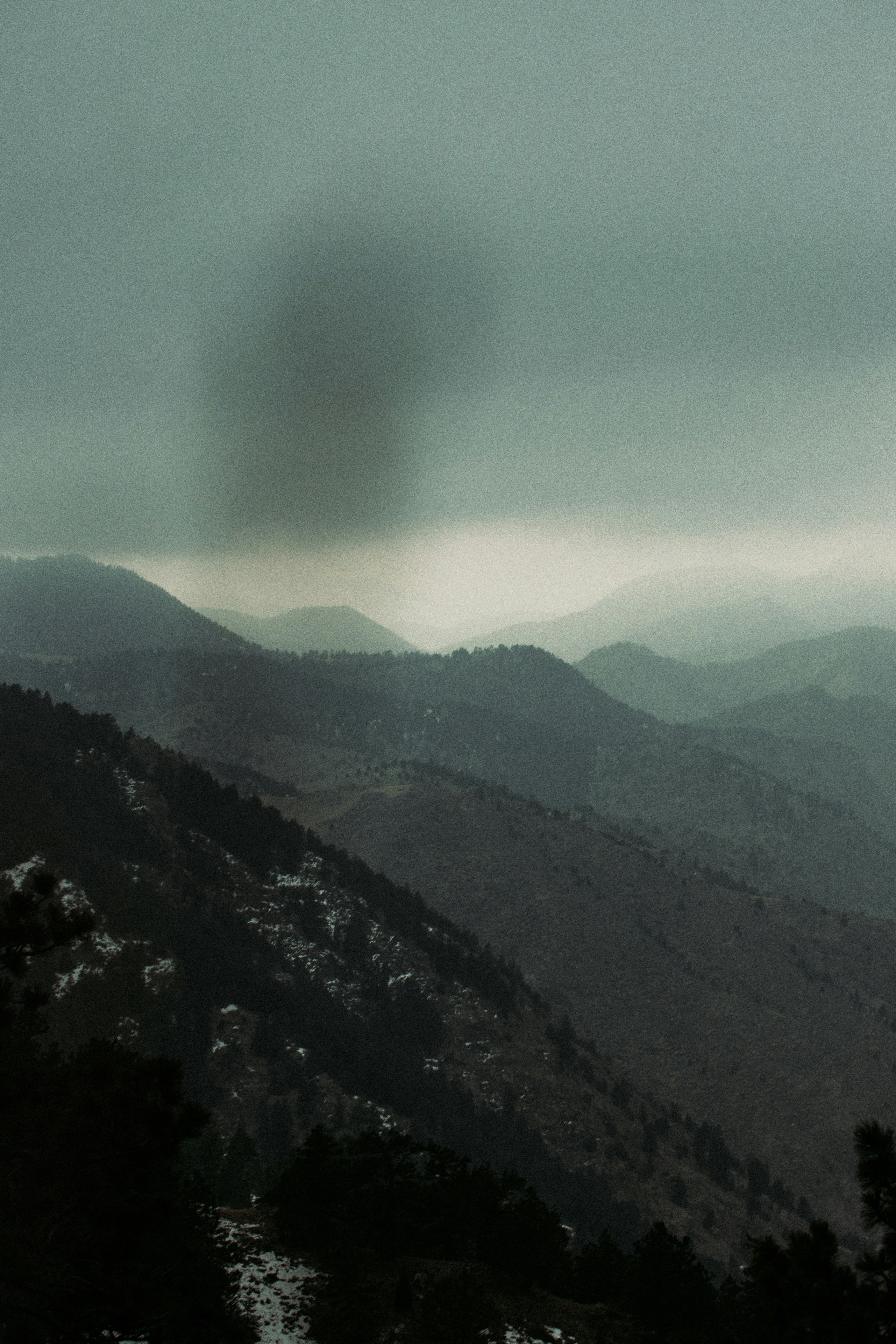 Photo by jakobnoahrosen