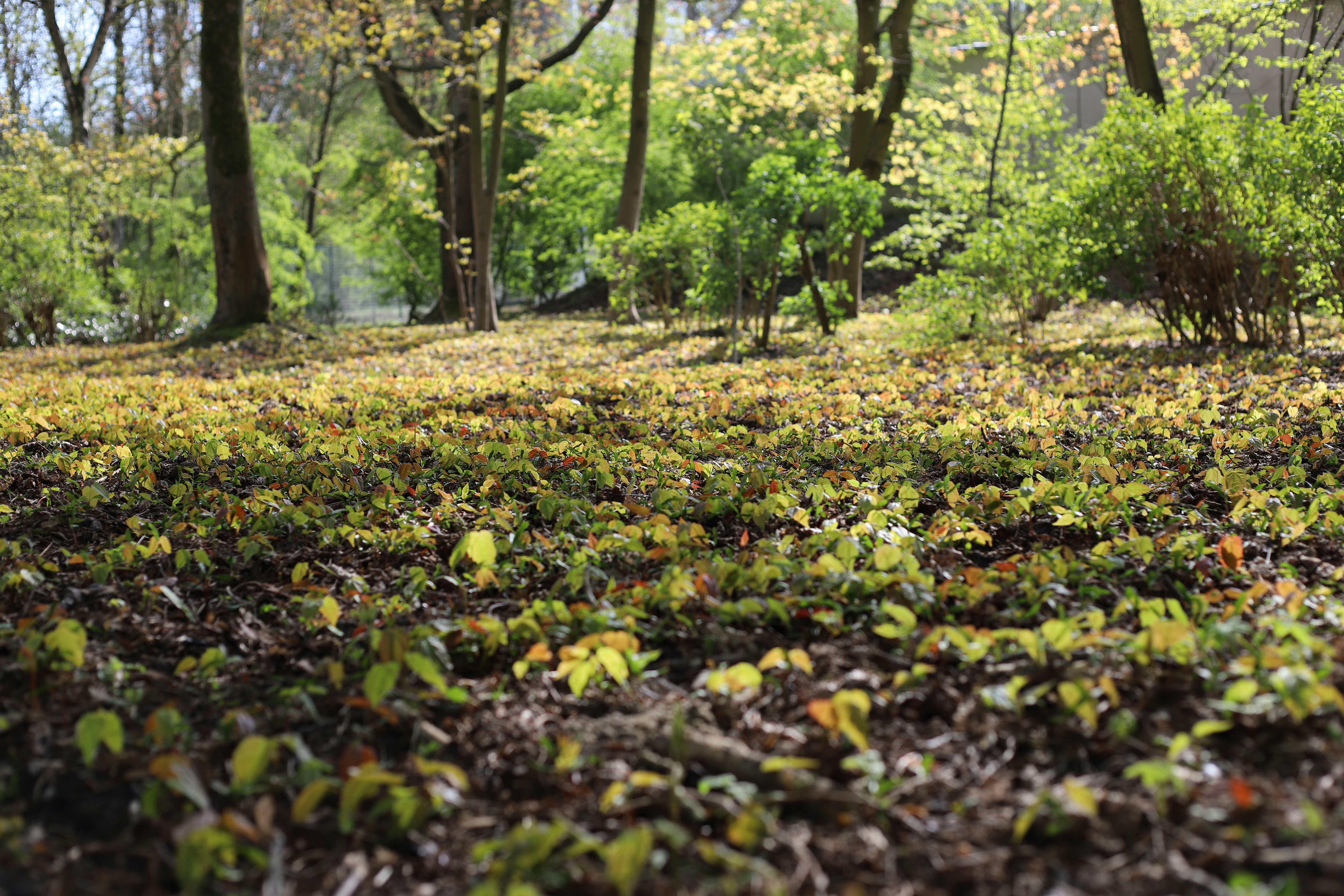 Photo by takeshi_morisato