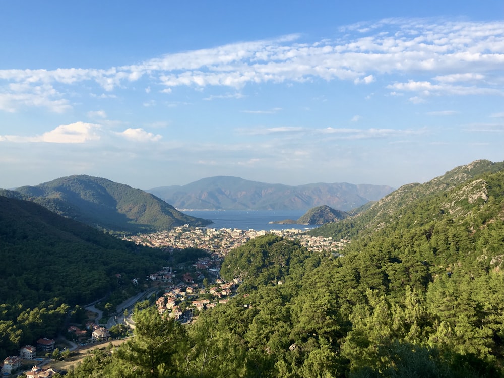 green trees on mountain under blue sky during daytime