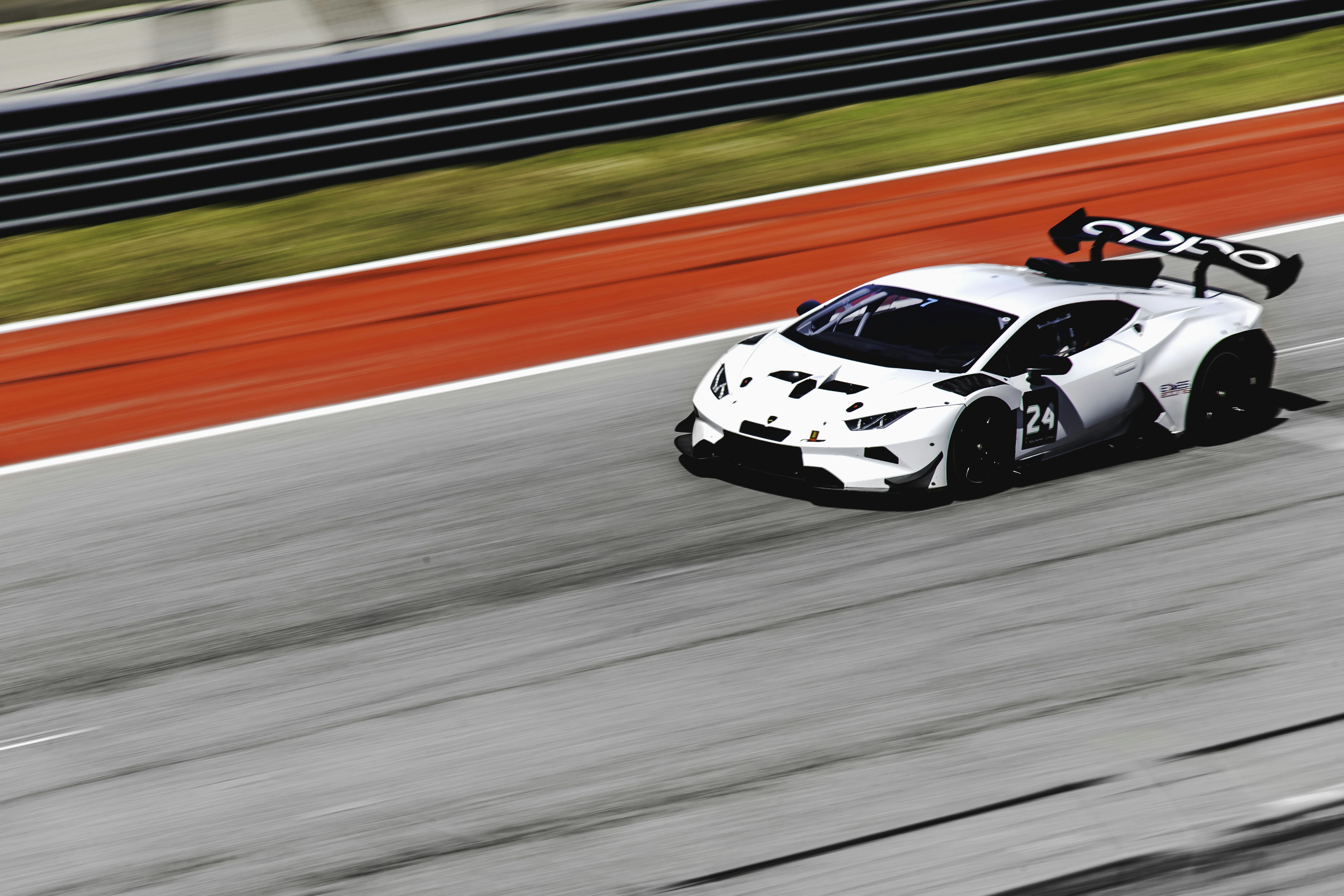 Photo by lonestarexotic