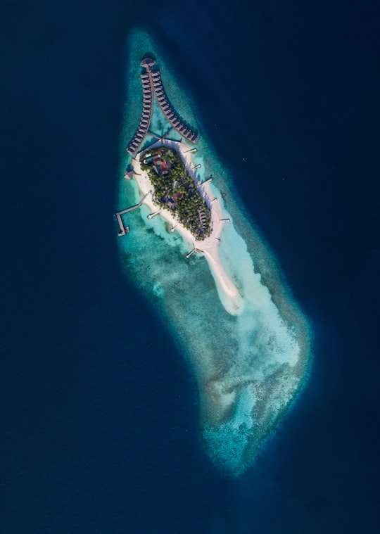 man in black shorts standing on blue surfboard on water during daytime in Dhiggiri Resort Maldives