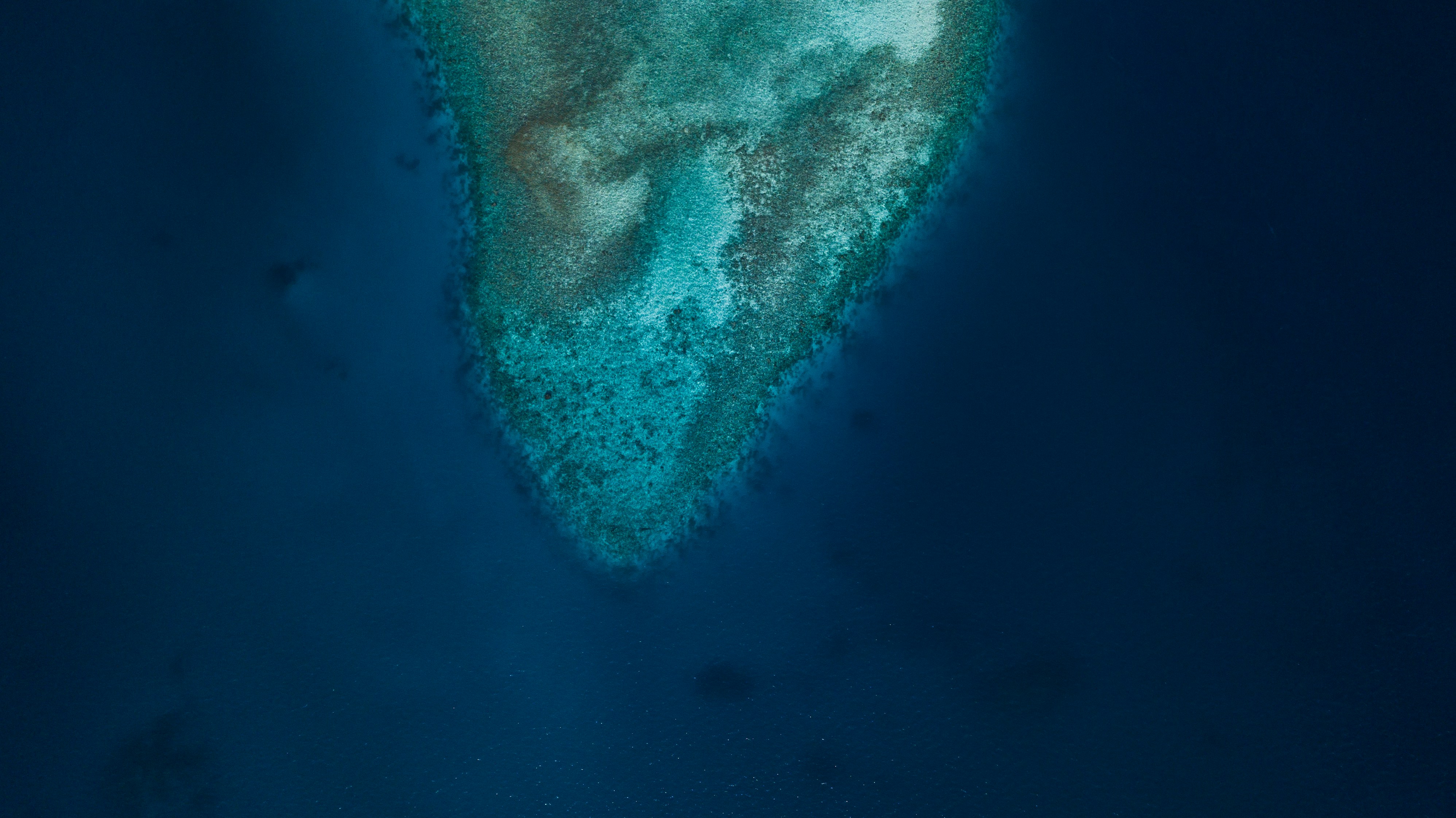 Salelologa