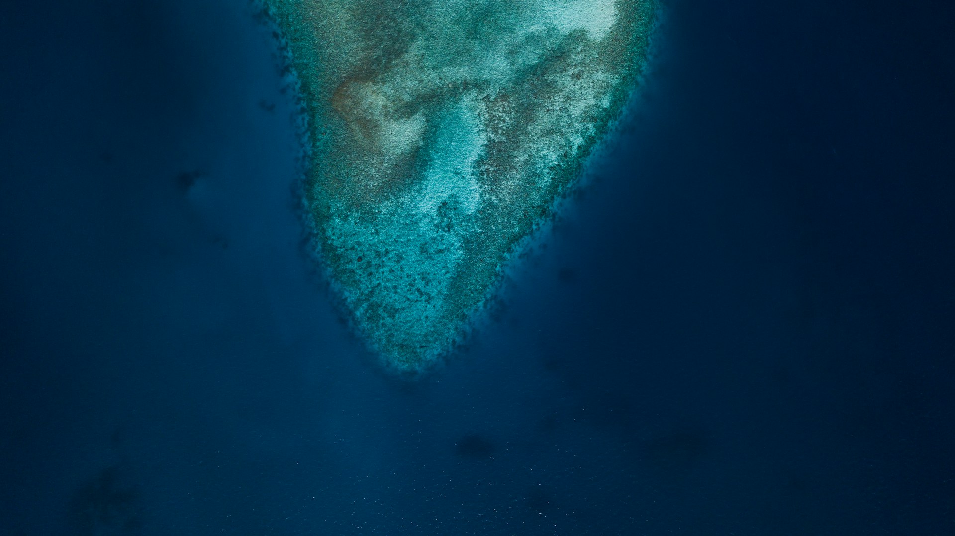 Abstract view of lagoon colors recommending the discovery of the seabed