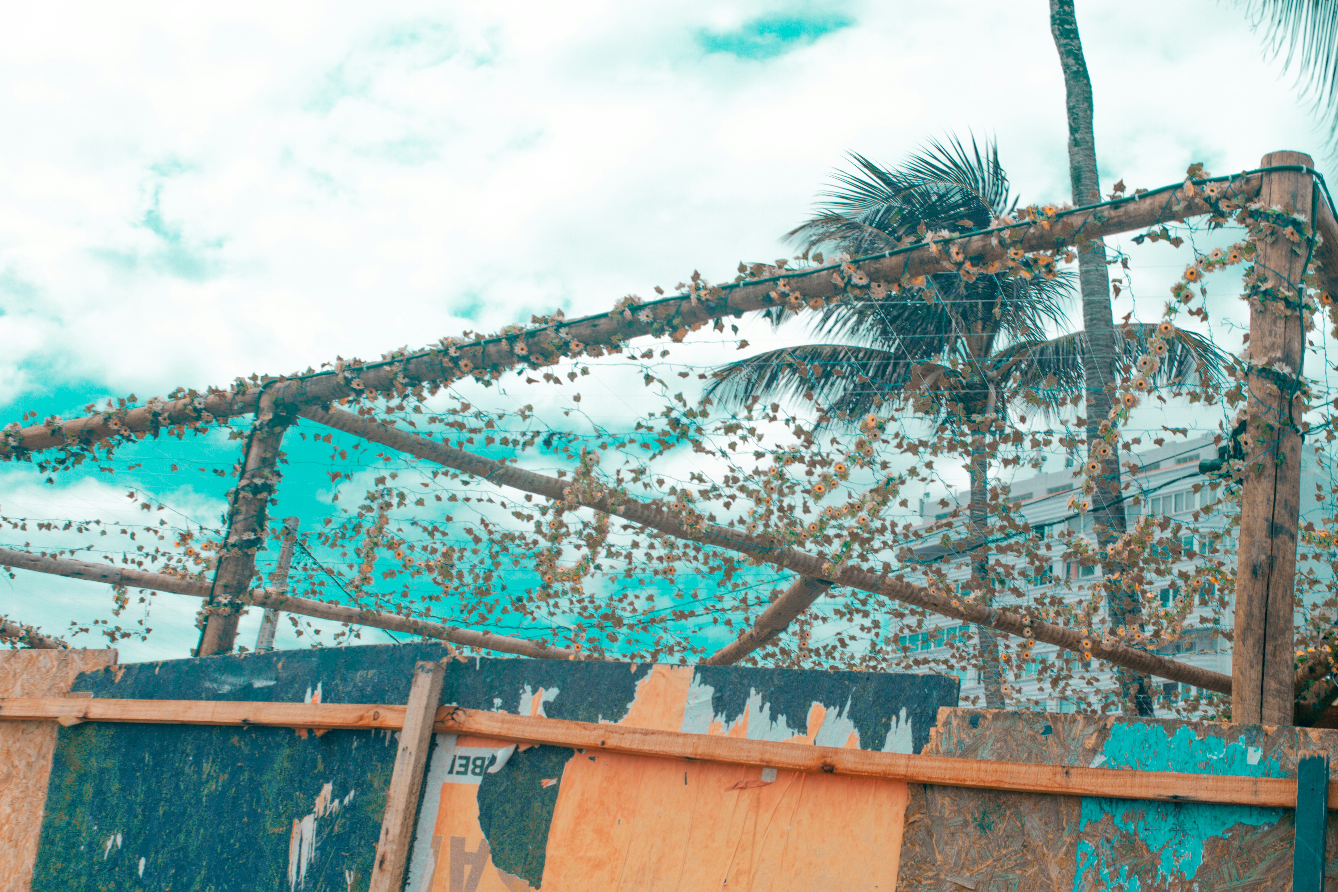 green palm tree beside brown concrete building during daytime