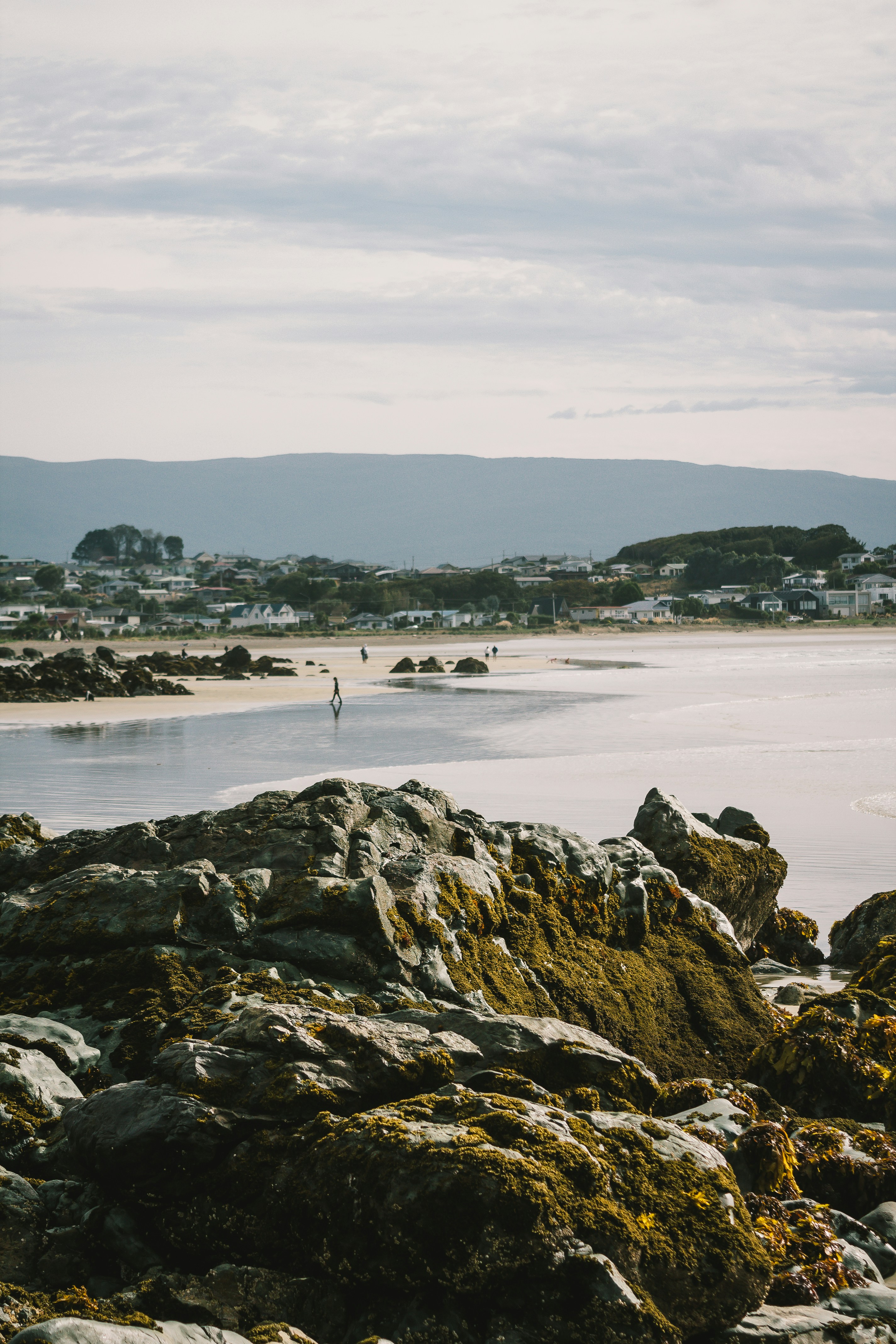 Photo by wolfnicolas