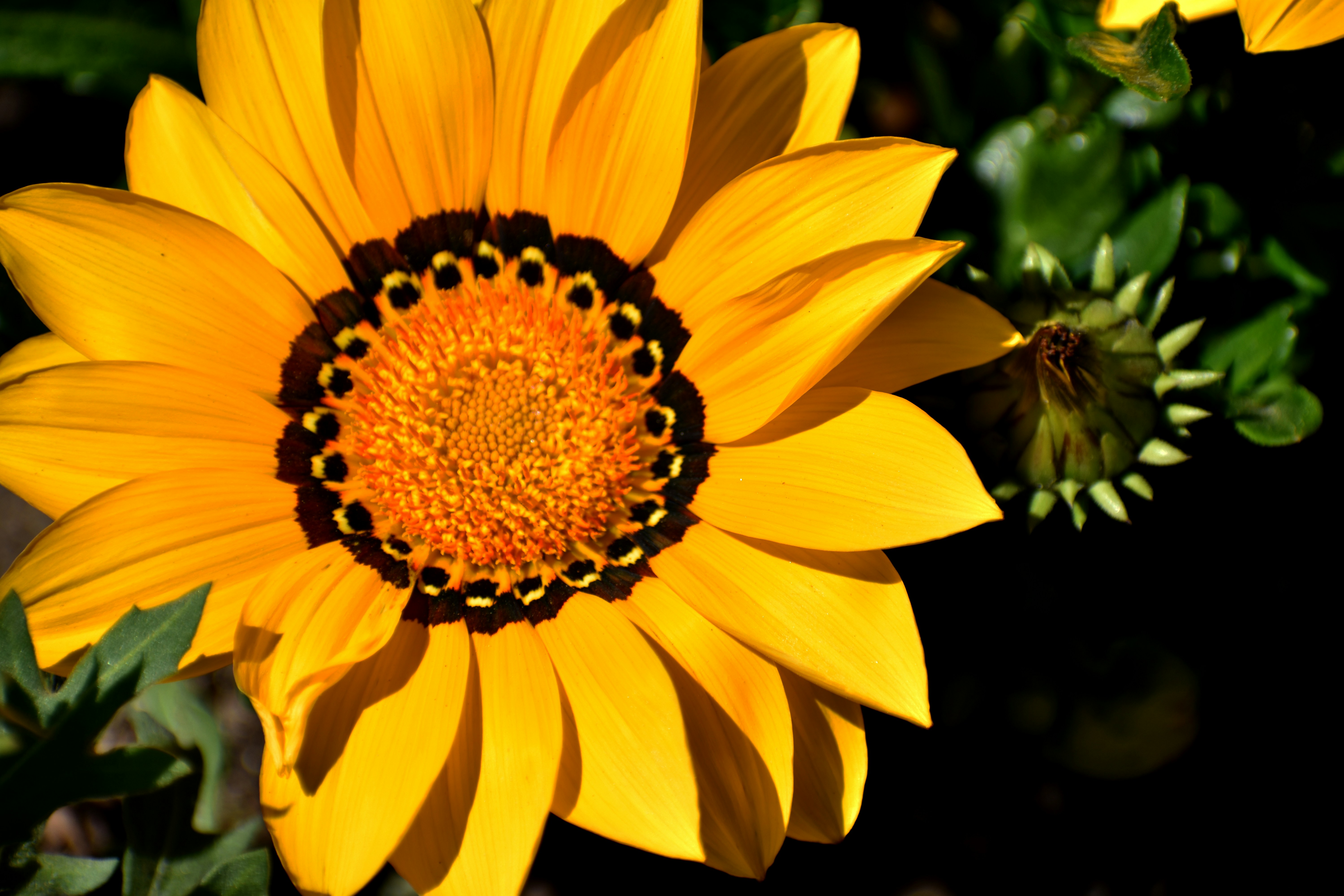 Photo by janinekrobinson