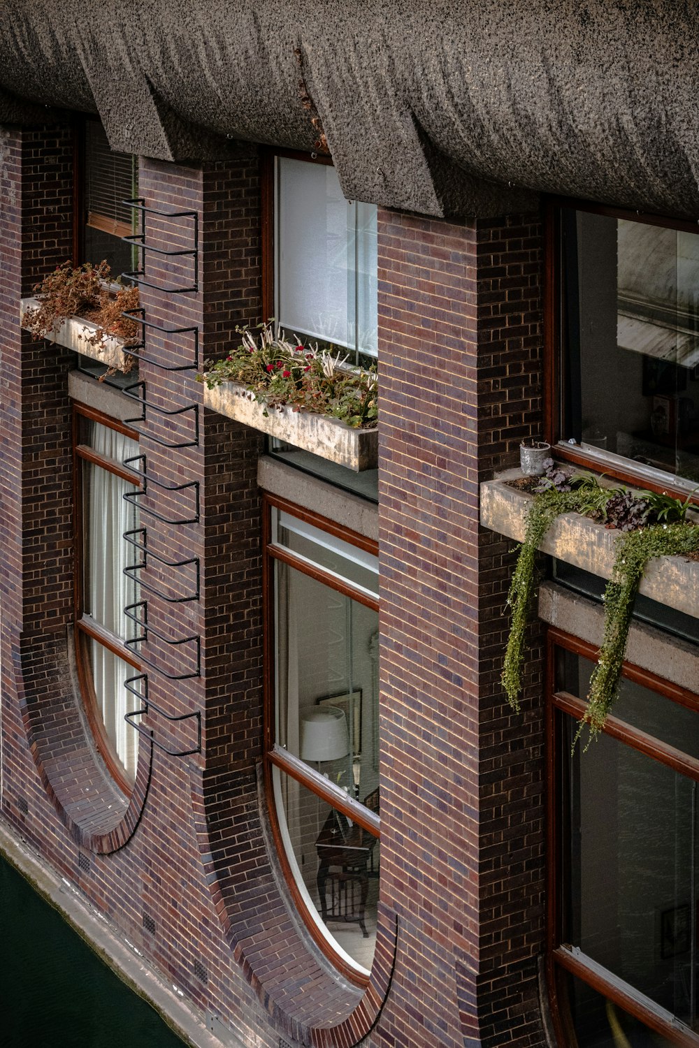 ein Backsteingebäude mit Pflanzen in den Fenstern