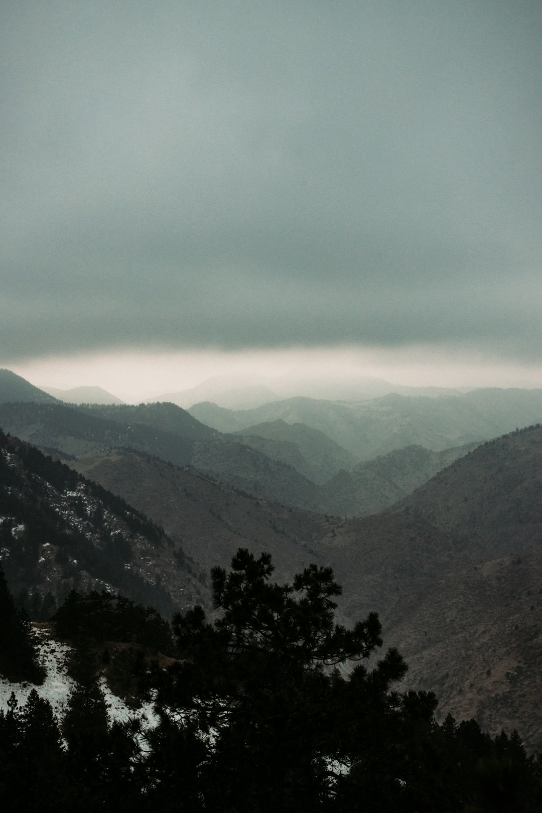 green trees on mountain under white clouds during daytime