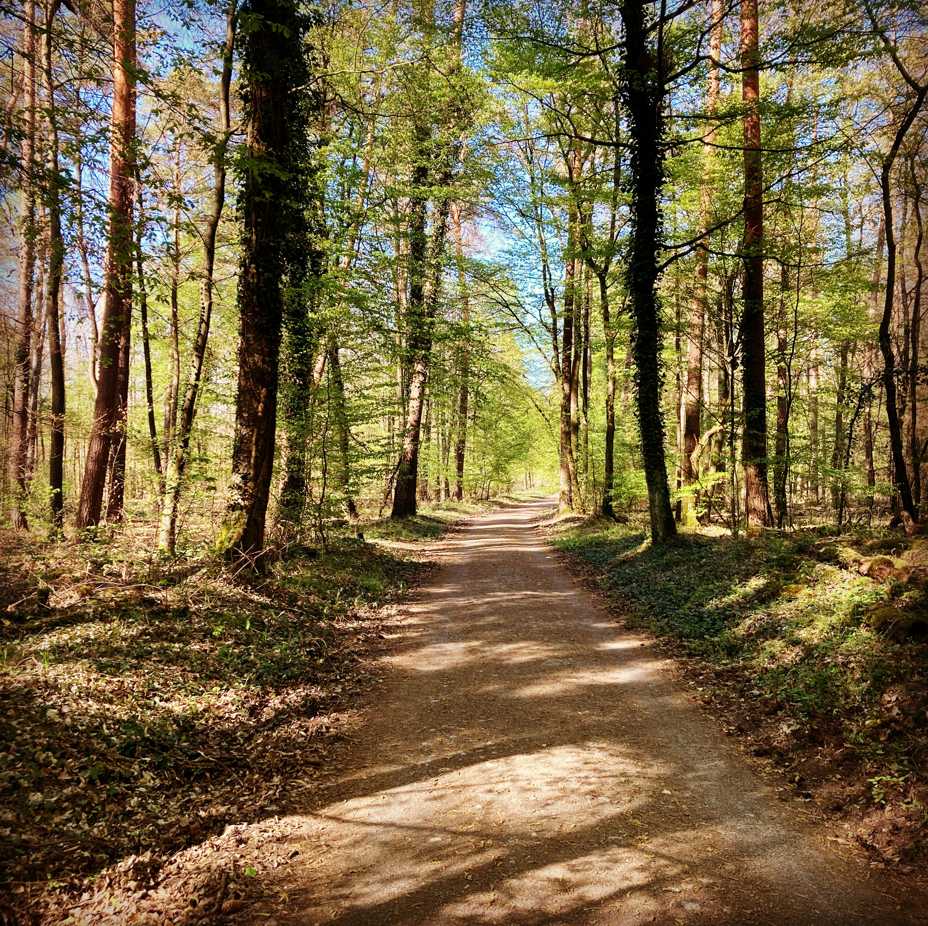 Photo by hitomibremmer