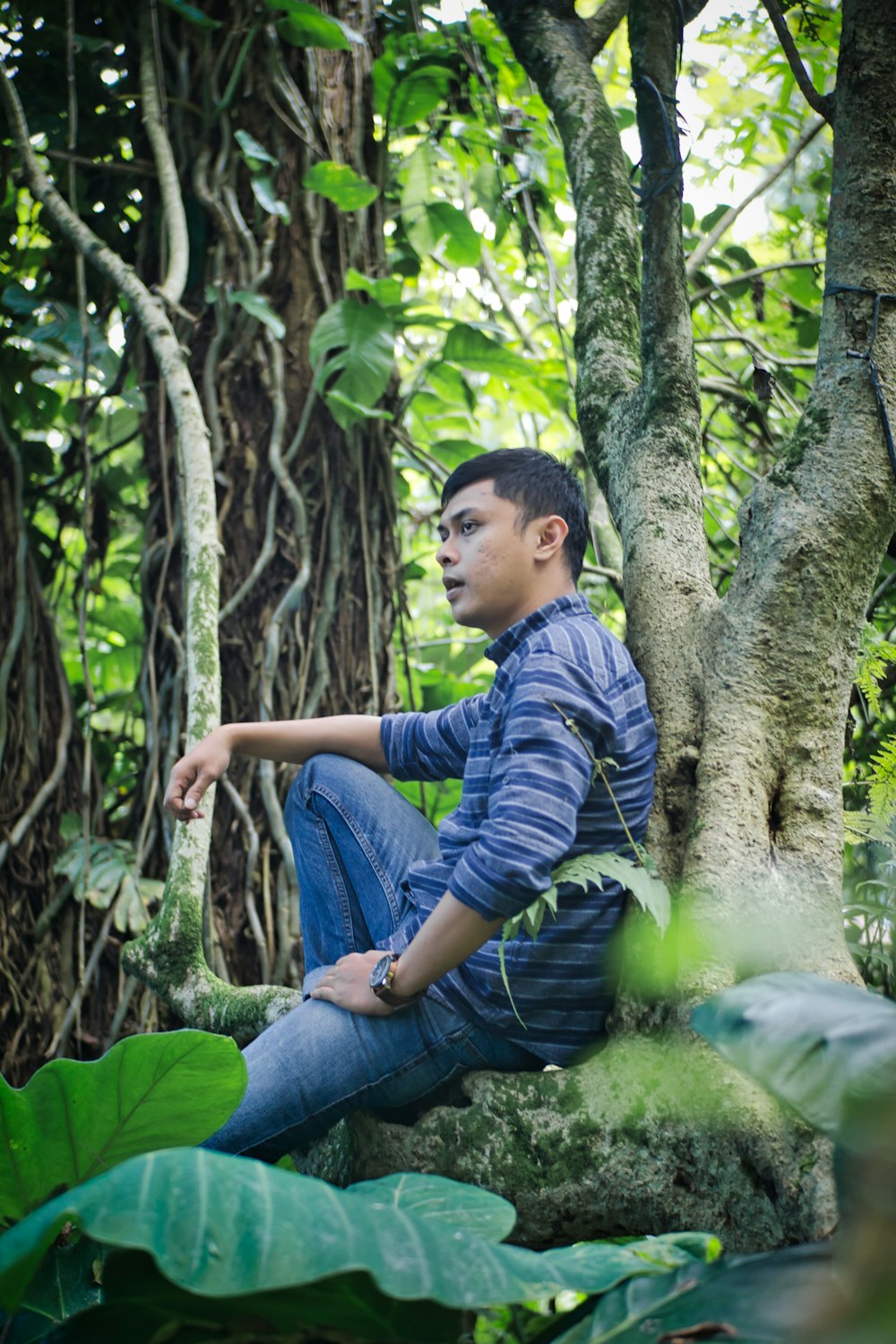 boy in blue and black striped long sleeve shirt and blue denim jeans sitting on tree