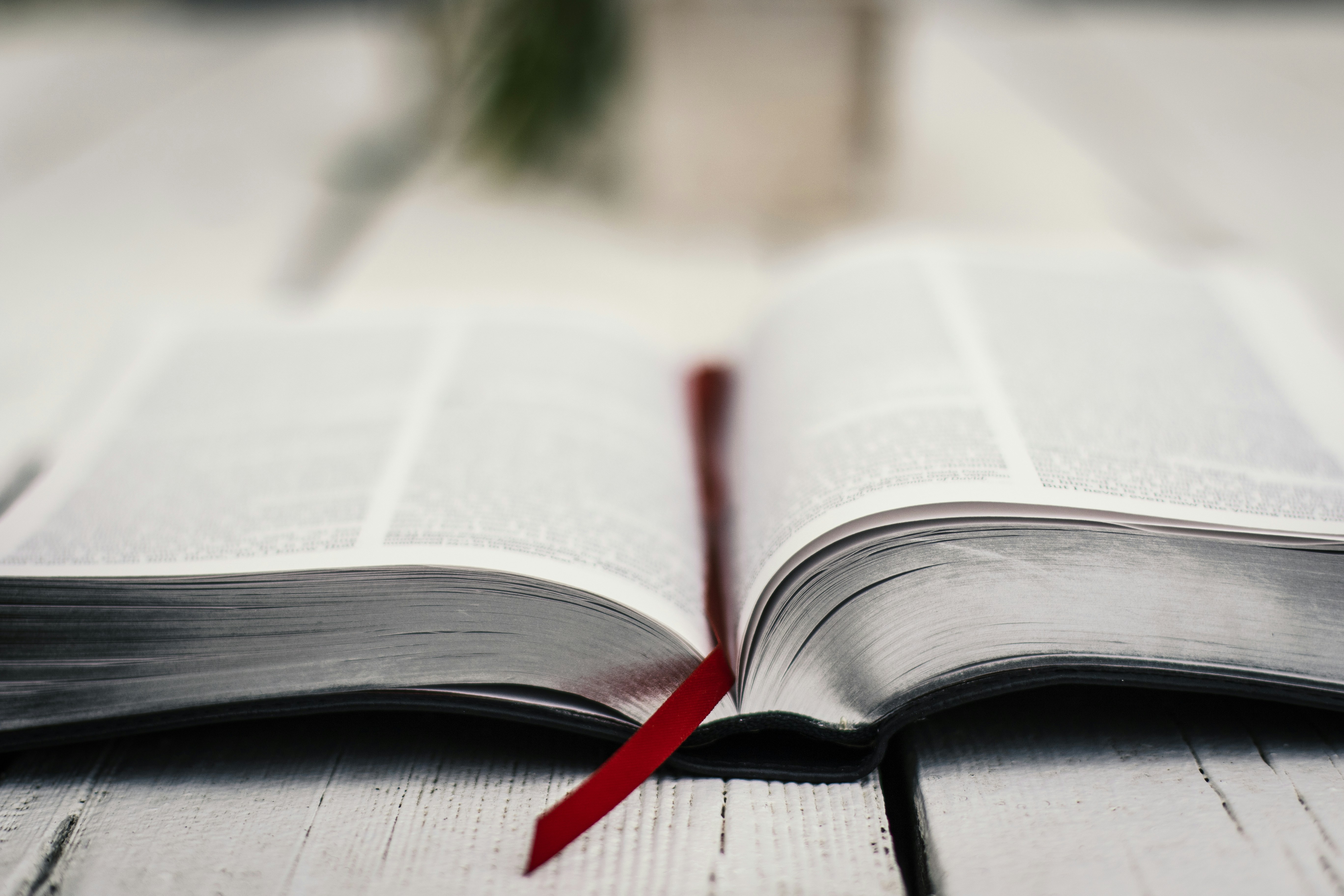 Cara Melihat Buku/Bab yang Sudah Dibuka di Cabaca