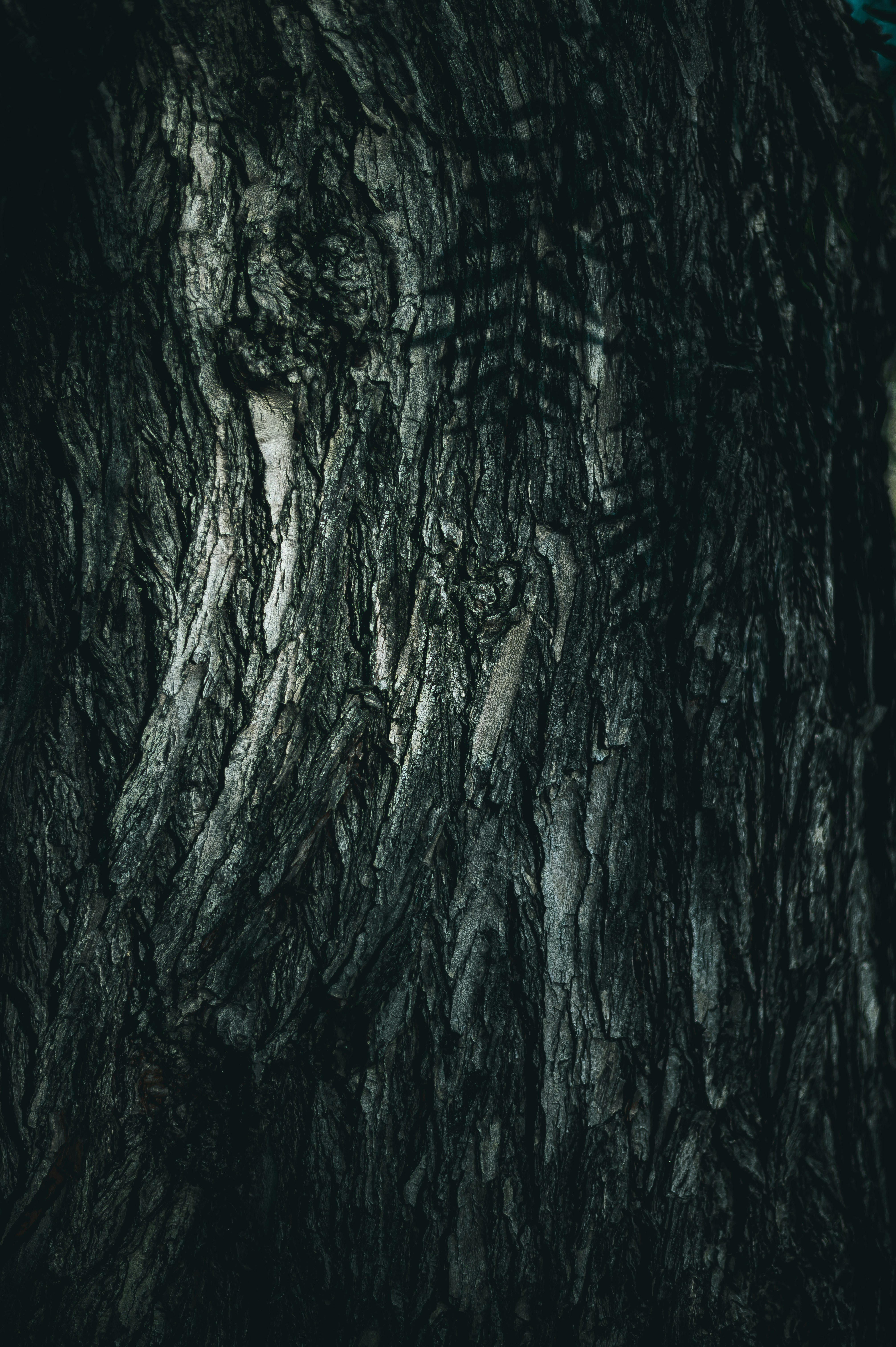 Photo by christopherstark