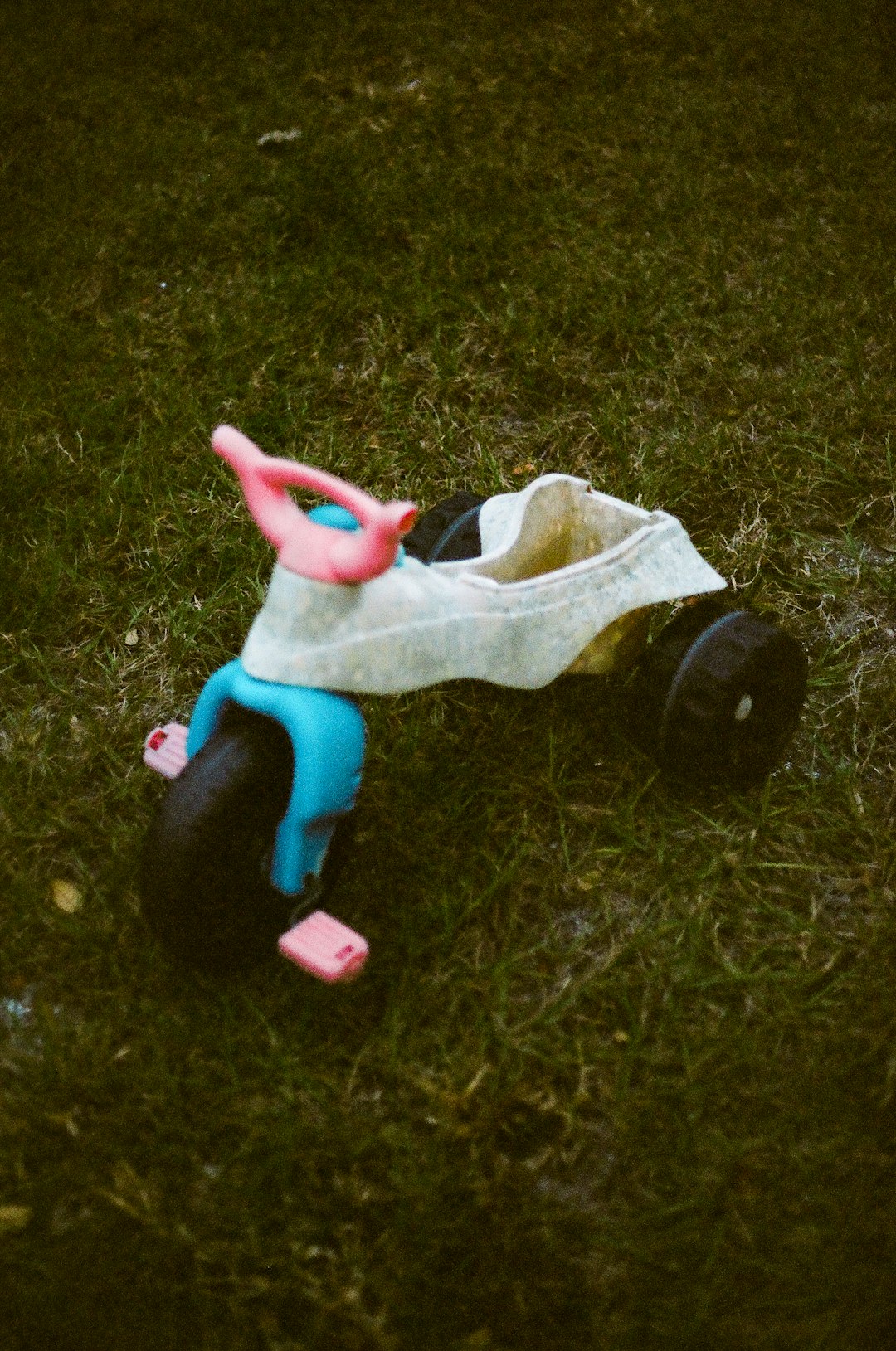 pink and blue plastic toy on green grass