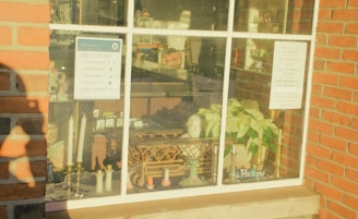 A storefront window displays various items including candles, a white bust, a green potted plant, and an assortment of decorative objects. Two notices are taped to the window, and a silhouette of a person is reflected on the left side.