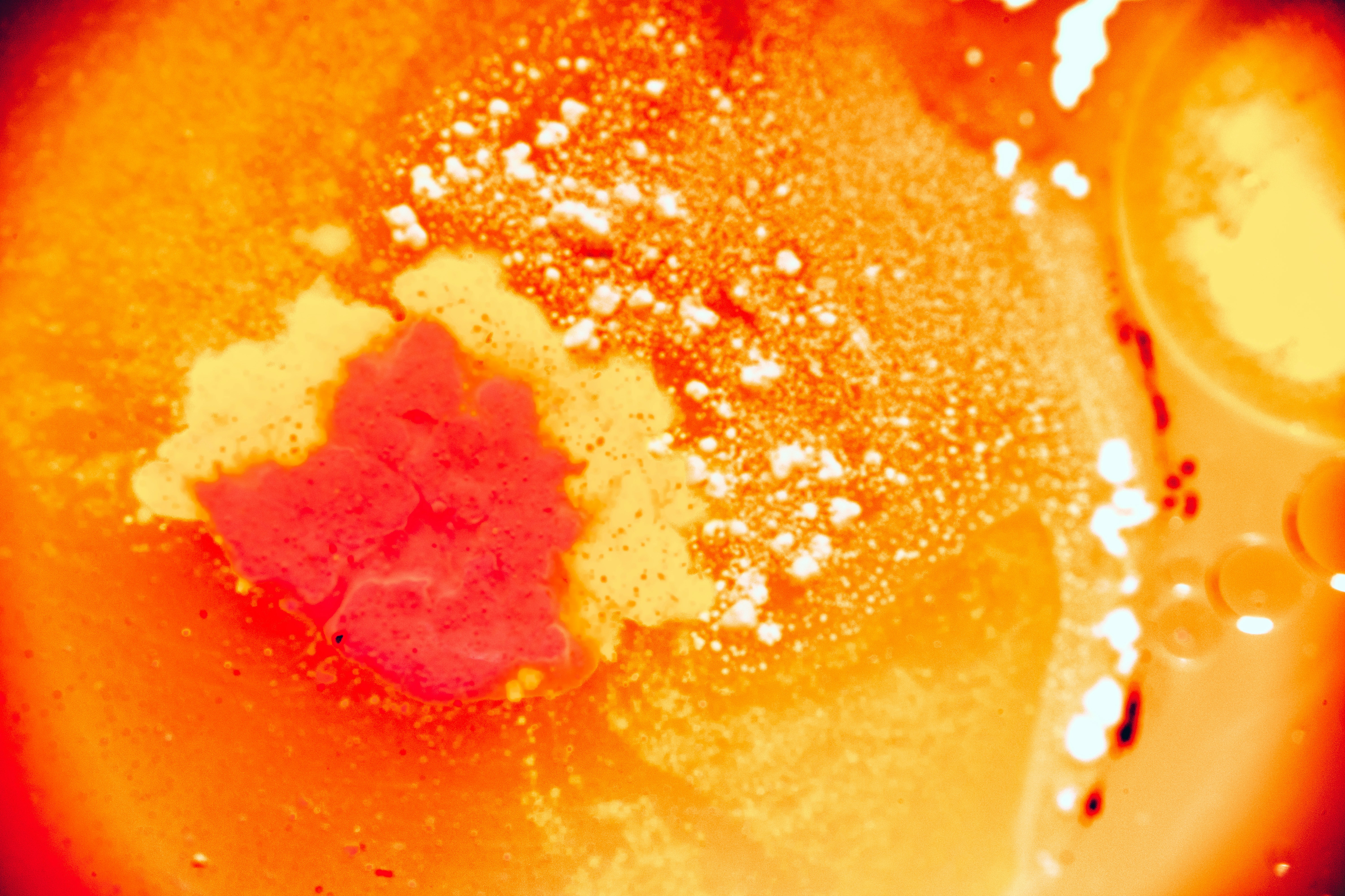 Buzlu Şeftali İçeceği